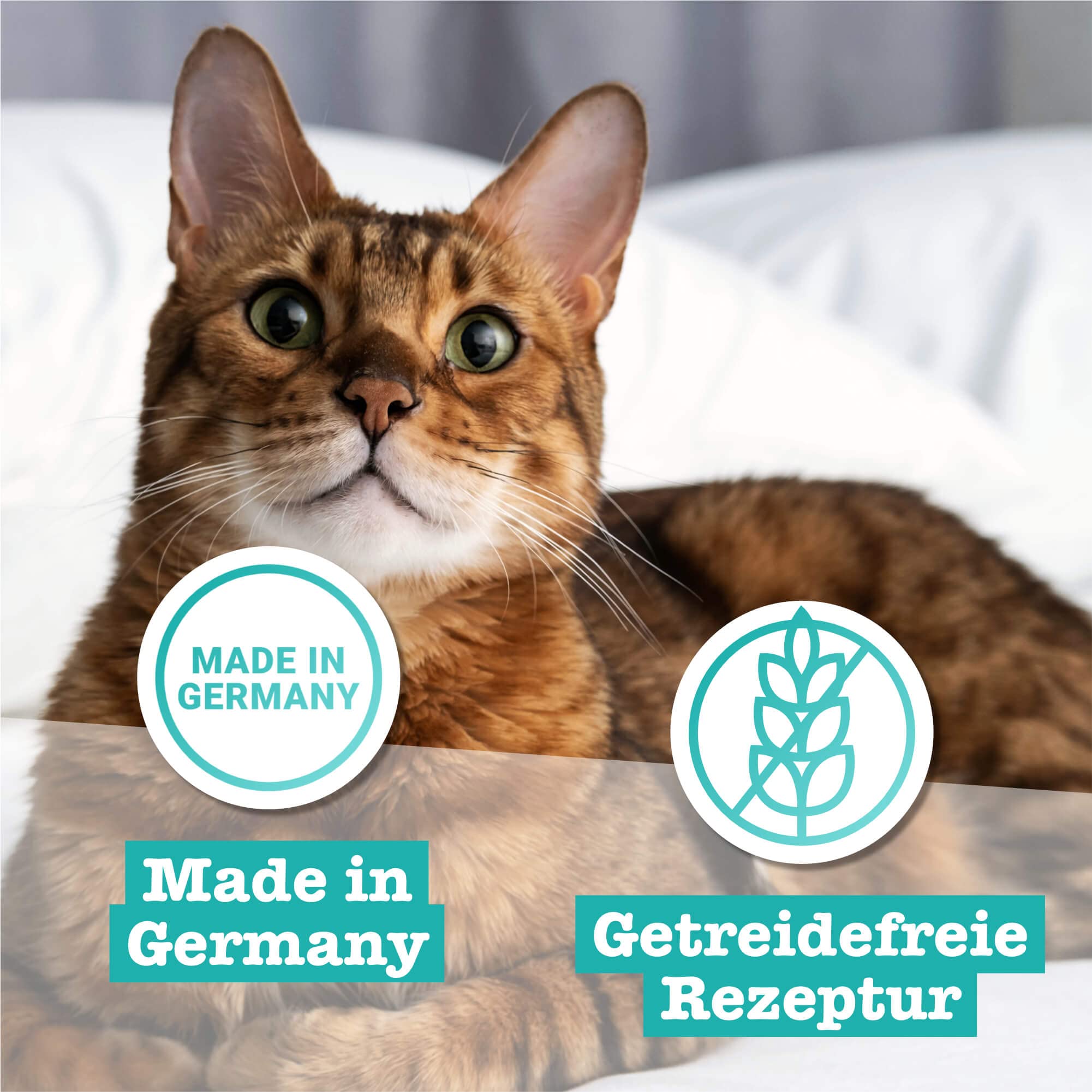 catz-finefood-n-21-wild-rotbarsch-nassfutter-f-r-katzen-6-x-400-g image 5