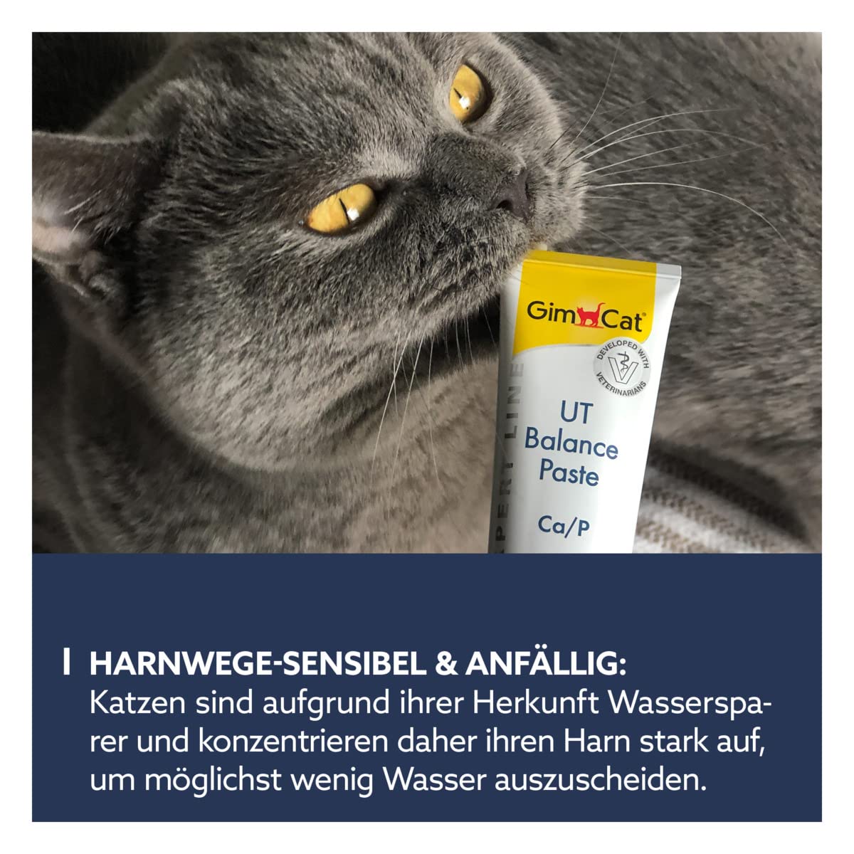 gimcat-expert-line-ut-balance-paste-f-r-gesunden-harn-1-tube-1-x-50-g image 4