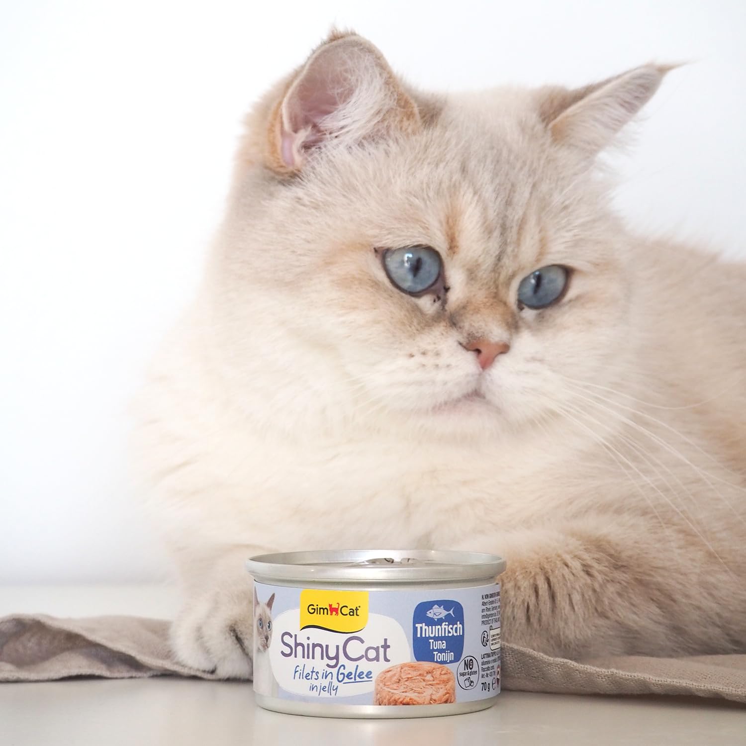 gimcat-shinycat-filet-in-gelee-thunfisch-24-x-70-g-dosen image 3