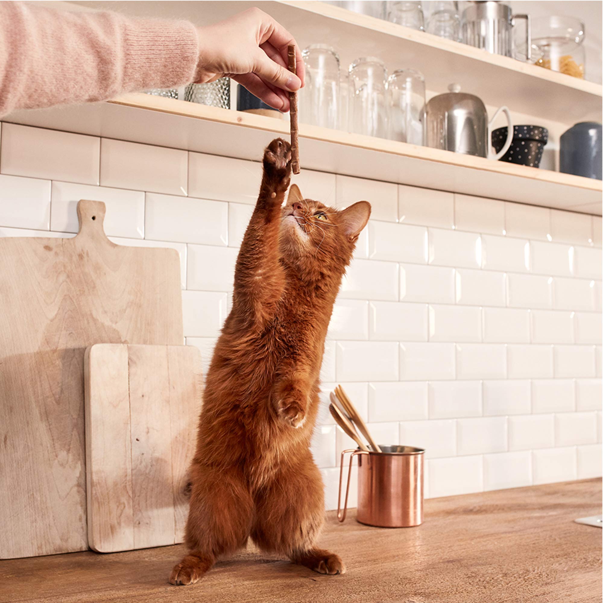 gimcat-superfood-duo-sticks-lachs-mango-katzensnack-24-packungen-72-sticks image 4