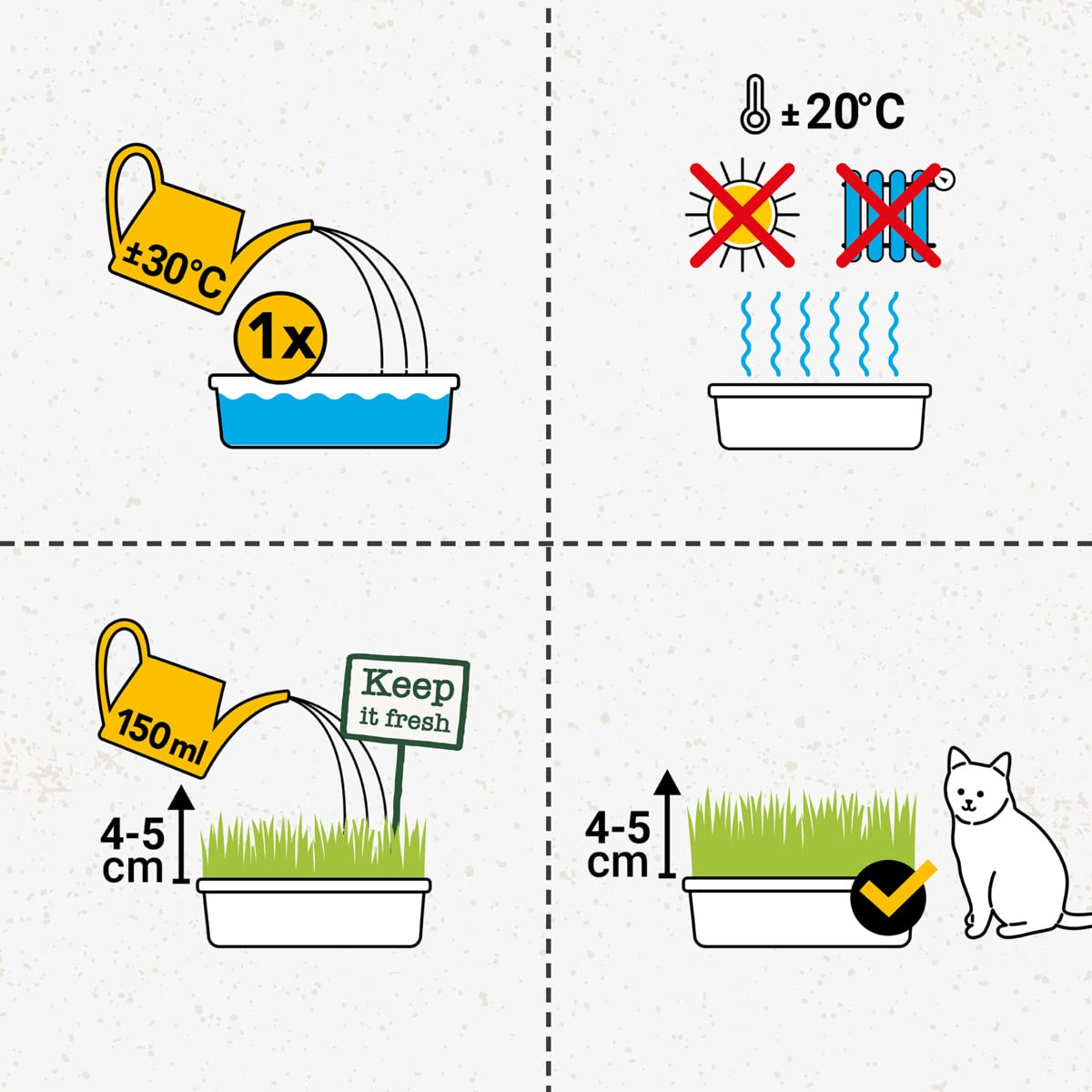 gimcat-hydro-gras-katzengras-1-schale-150-g image 5