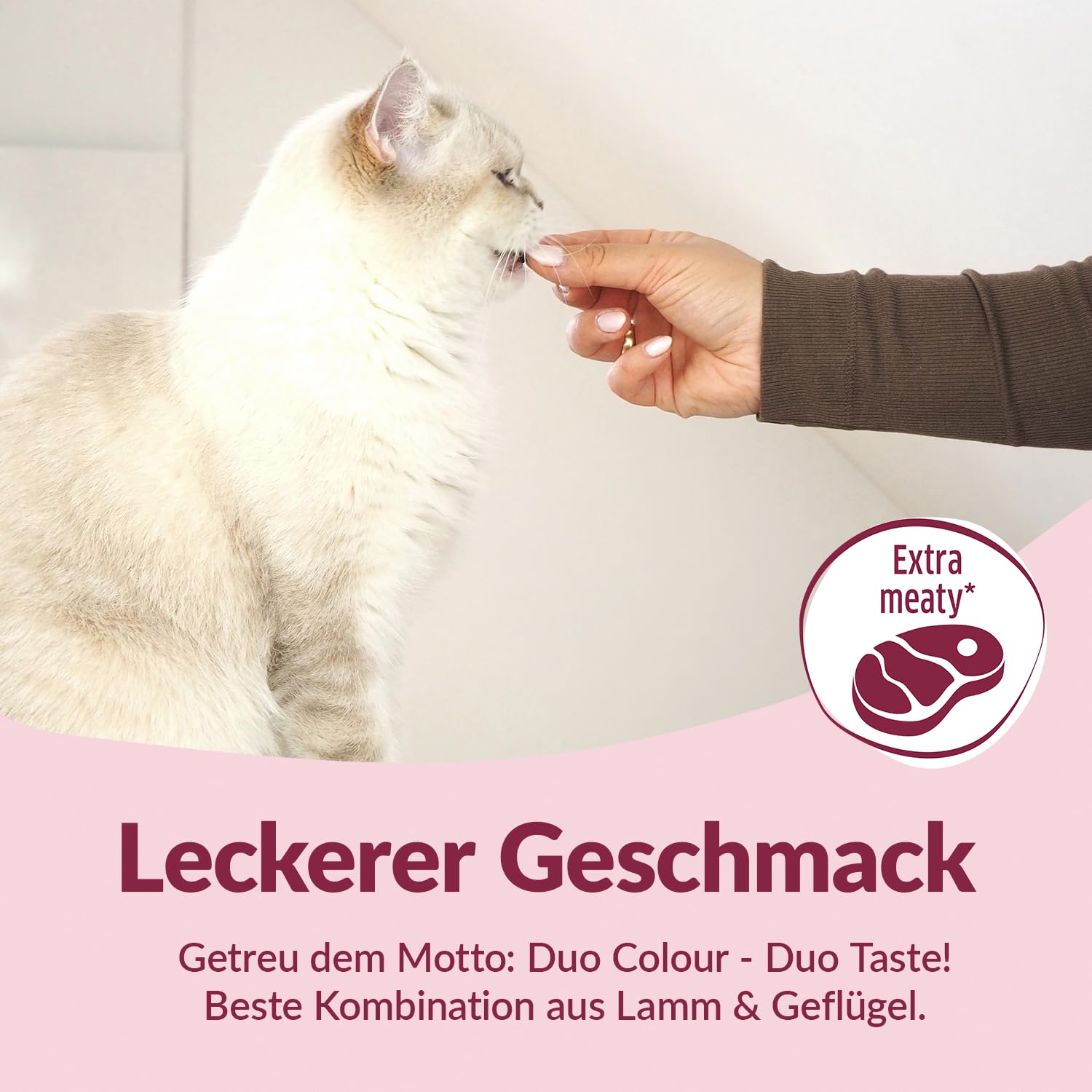 gimcat-duo-soft-snacks-mit-gefl-gel-lamm-soft-snack-f-r-katzen-1-x-50-g image 3