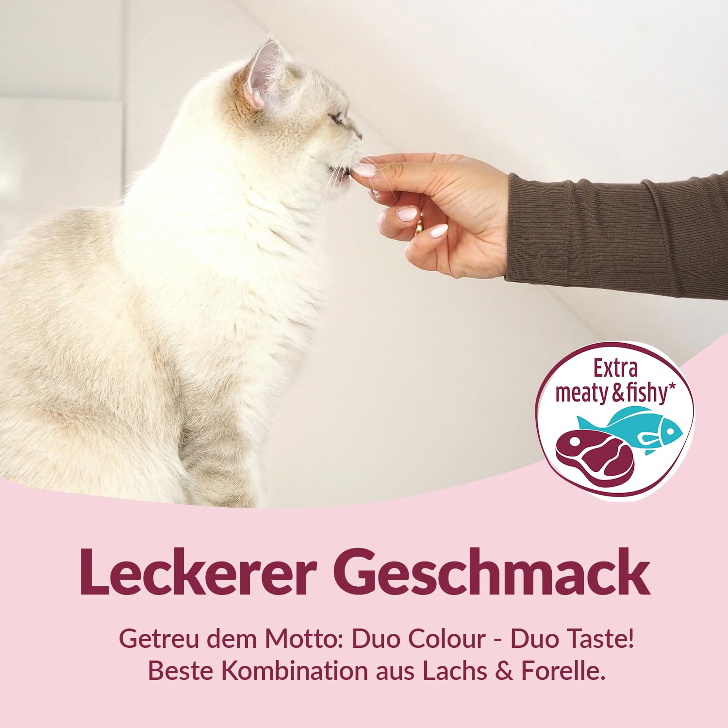 gimcat-duo-soft-snacks-mit-lachs-forelle-50g-beutel image 3
