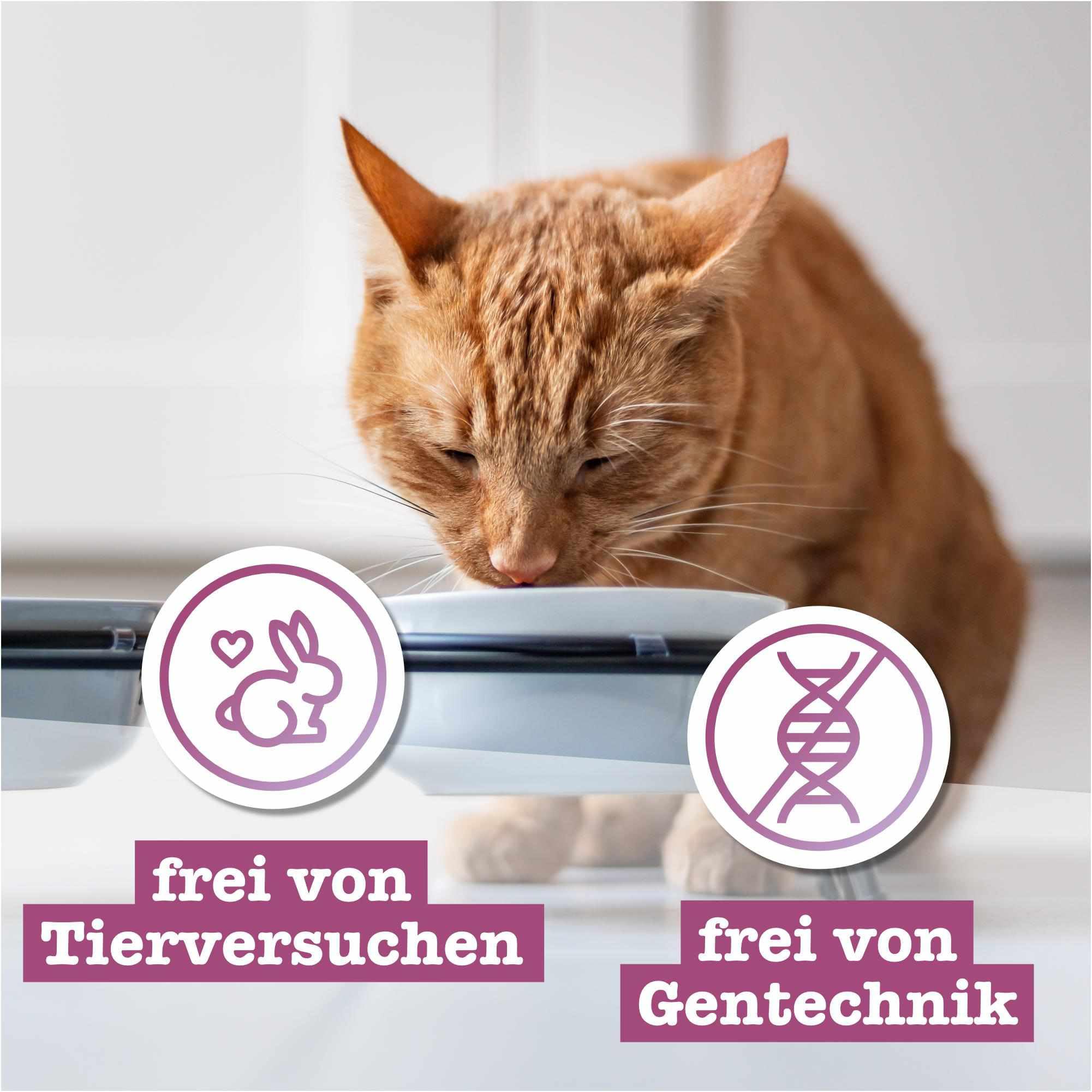catz-finefood-classic-collection-mix-paket-nassfutter-f-r-katzen-24-x-200g image 5