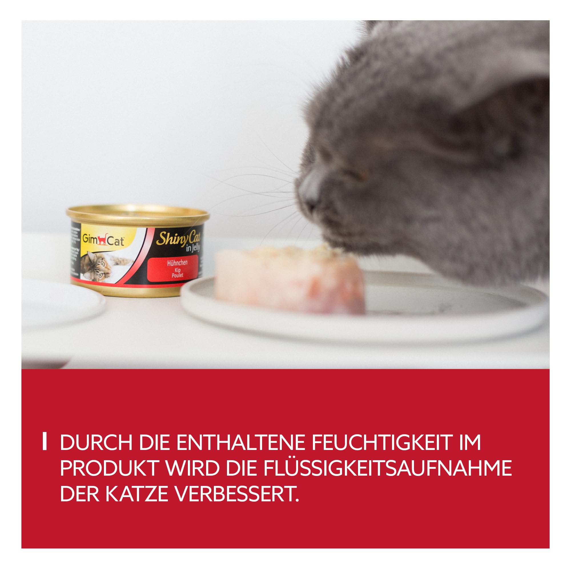 gimcat-shinycat-in-jelly-h-hnchen-erg-nzungsfutter-f-r-katzen-48-x-70-g-dosen image 3