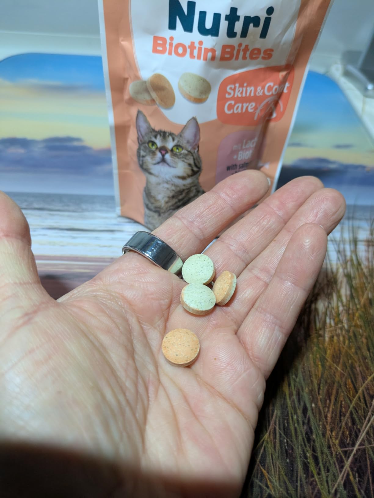 Ideal für meine Langhaarkatze