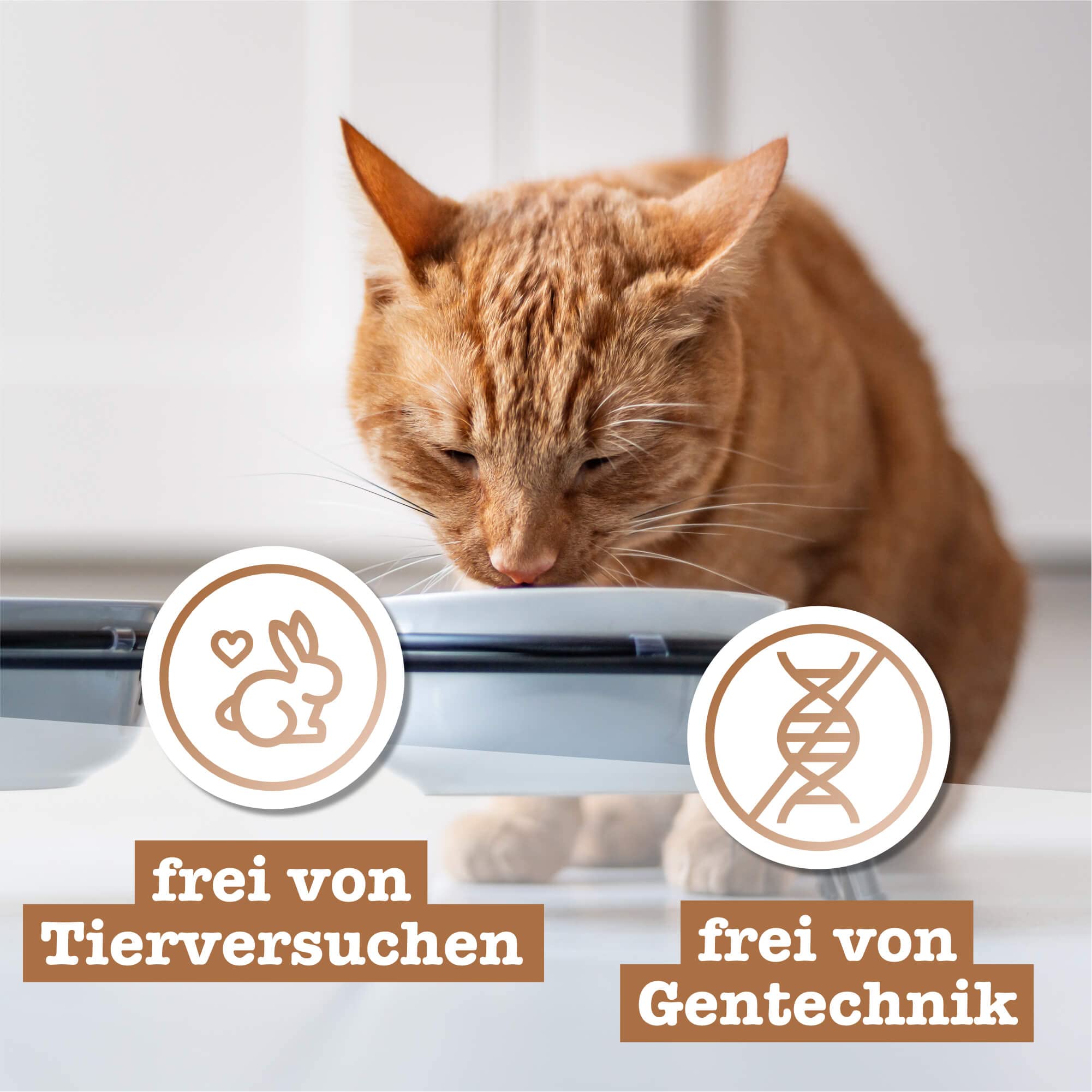 catz-finefood-classic-n-9-wild-nassfutter-f-r-katzen-6-x-300-g-beutel image 6