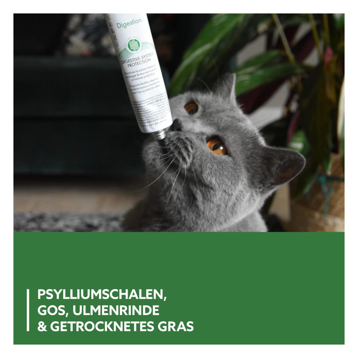 gimcat-expert-line-gastro-intestinal-paste-50-g-tube image 4
