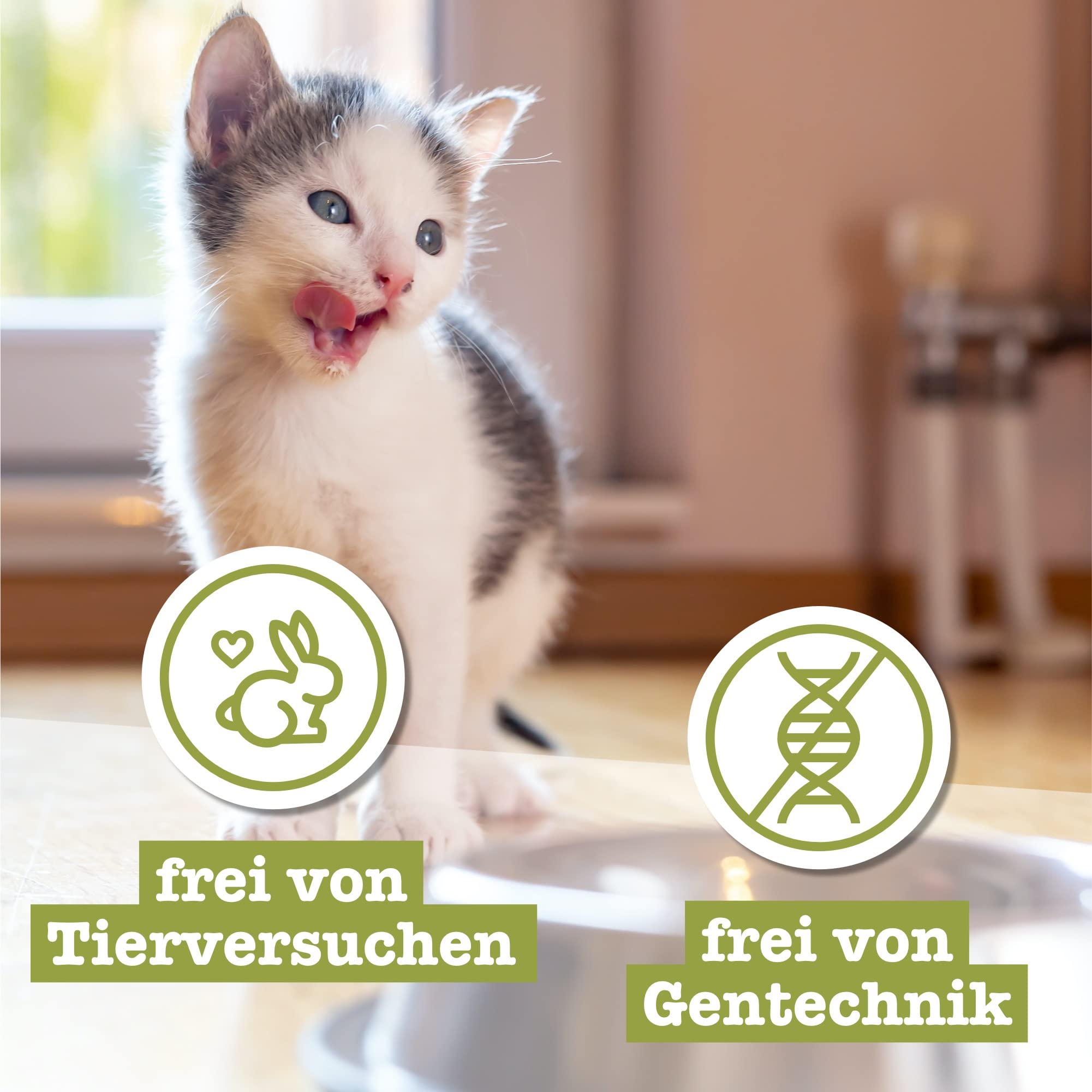 catz-finefood-kitten-n-5-lachs-und-gefl-gel-katzen-nassfutter-16-x-85-g-beutel image 6