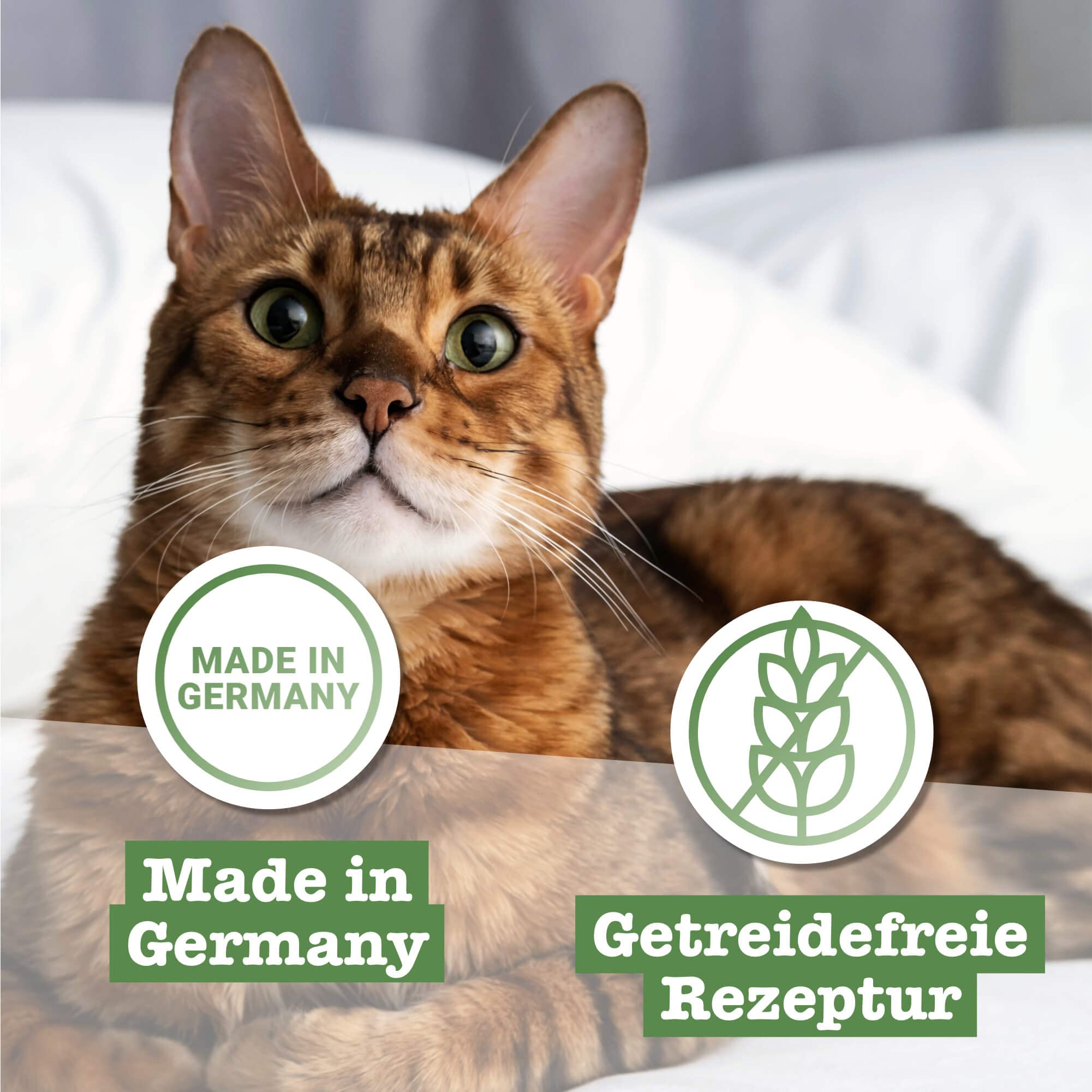 catz-finefood-n-15-huhn-fasan-nassfutter-f-r-katzen-6-x-800g-dosen image 5