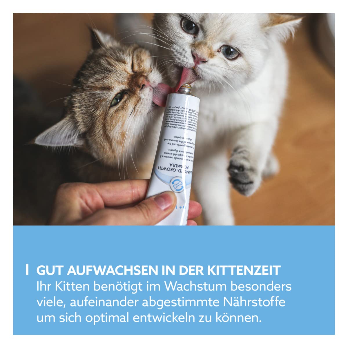 gimcat-expert-line-kitten-paste-funktionaler-katzensnack-f-r-junge-katzen-1-x-50 image 3
