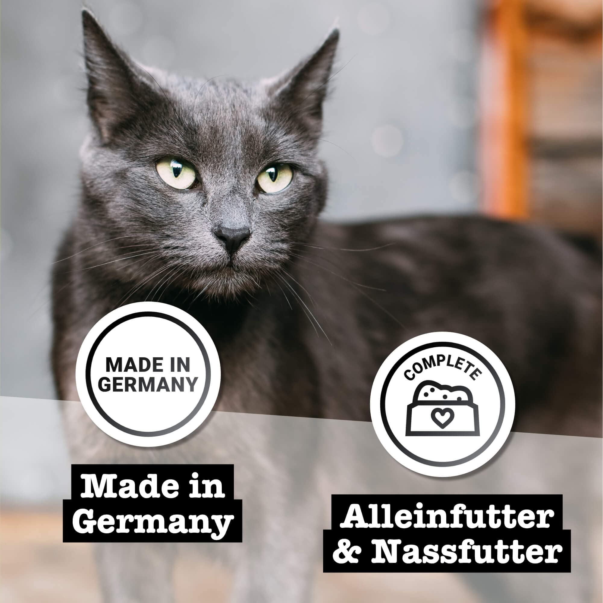 catz-finefood-purrrr-n-107-k-nguru-monoprotein-nassfutter-f-r-katzen-6-x-200-g-d image 5