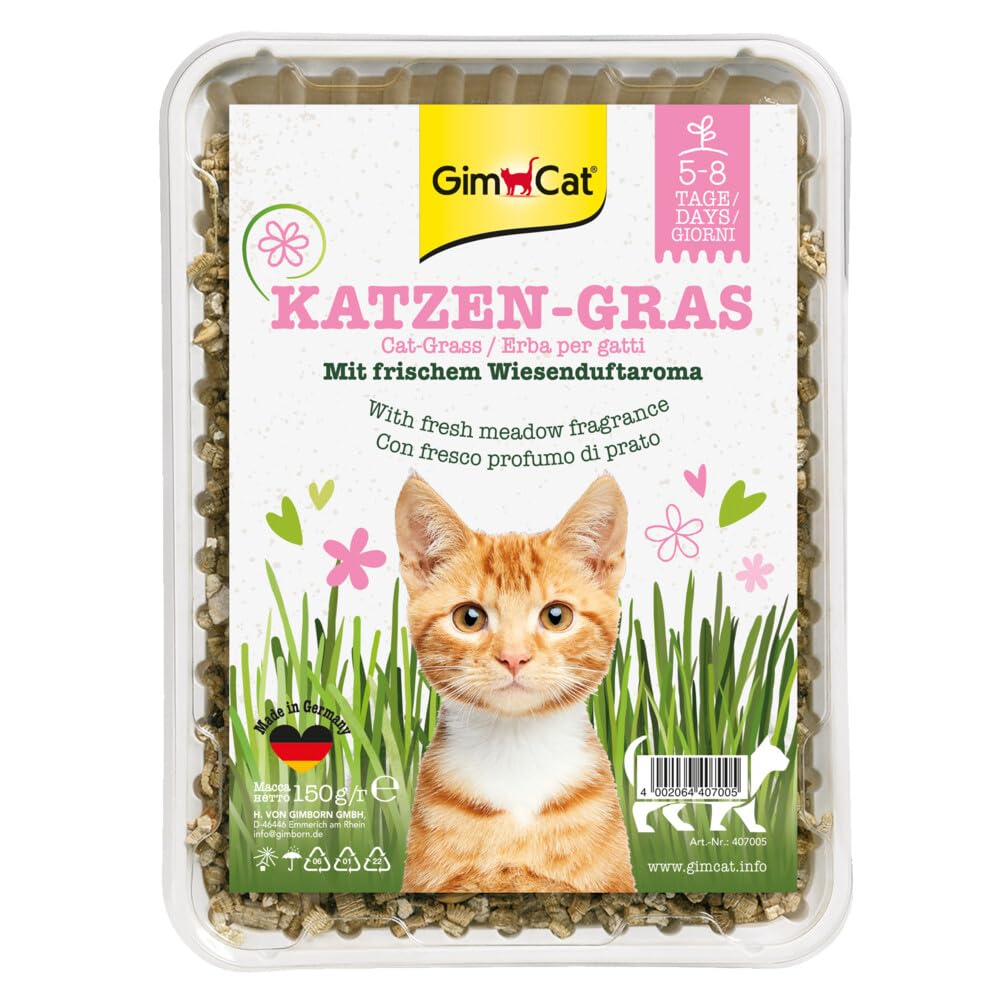gimcat-katzengras-schale-150-g-schnell-wachsend-in-5-8-tagen-2er-pack image 2