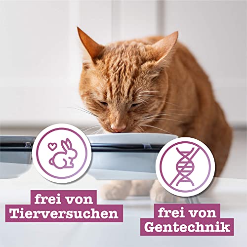 catz-finefood-classic-feinkost-katzen-nassfutter-multipack-1-mix-6-x-800-g-dosen image 8