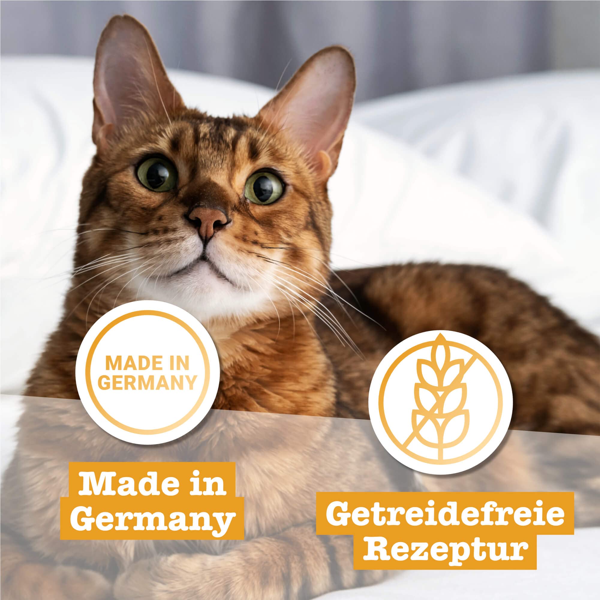 catz-finefood-purrrrly-no-107-lammherzen-gefriergetrockneter-snack-f-r-katzen-6- image 4