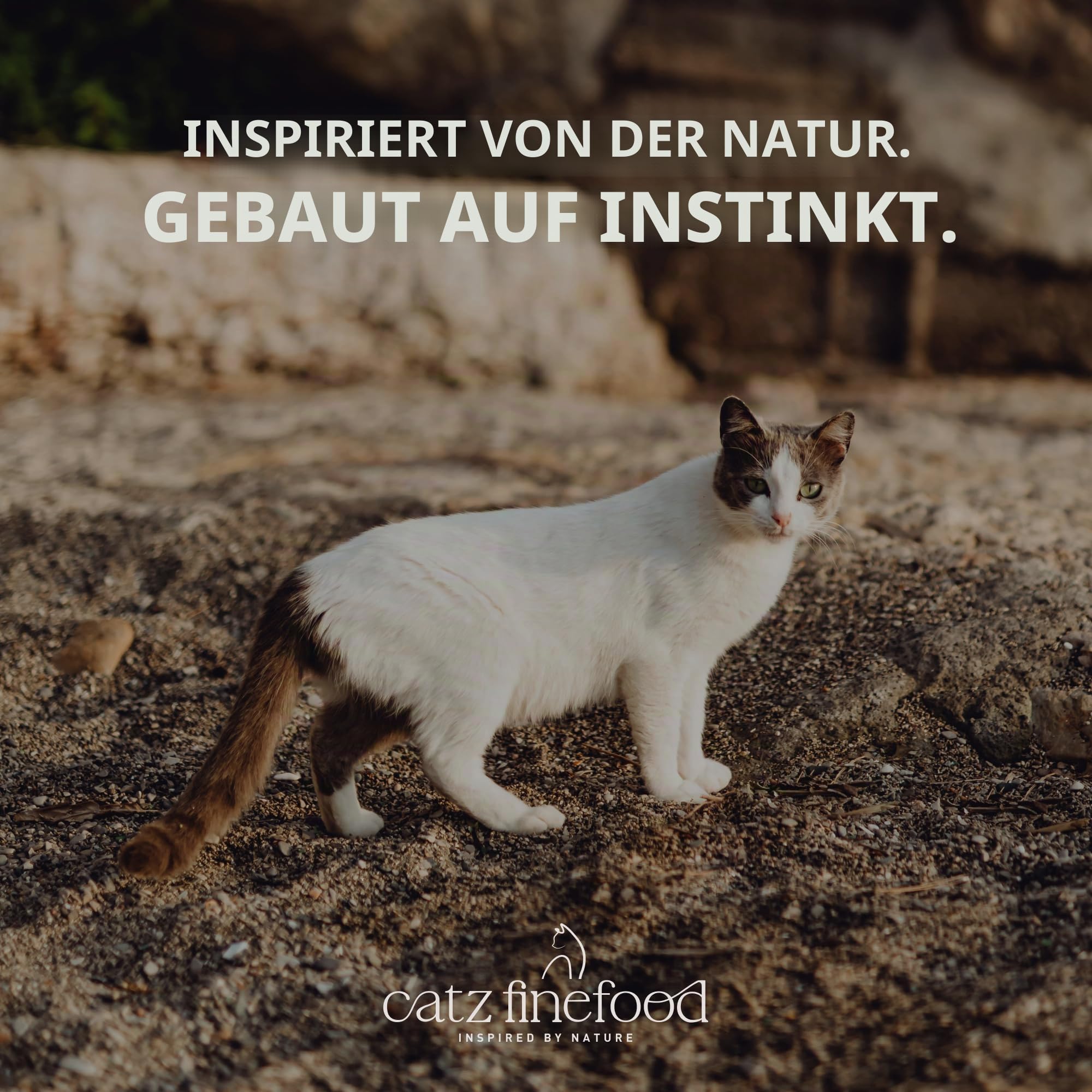 catz-finefood-n-15-huhn-fasan-nassfutter-6-x-400-g-dose image 5