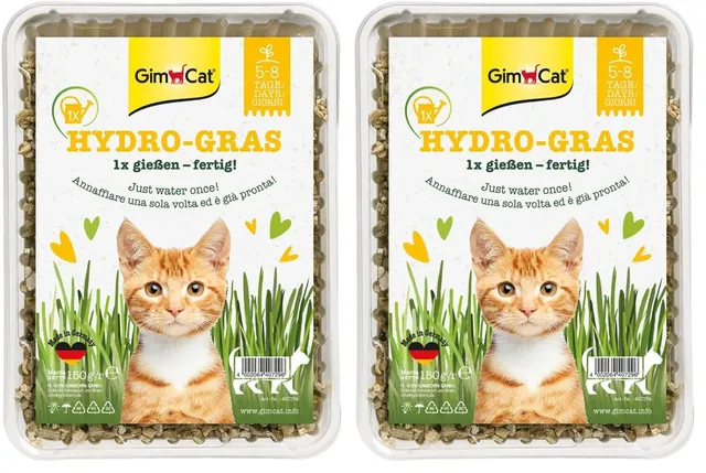 gimcat-hydro-gras-katzengras-1-schale-150-g image 1