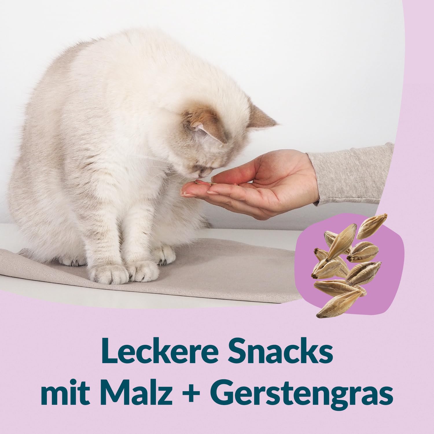 gimcat-nutri-malt-bites-katzensnack-mit-malz-425-g image 4