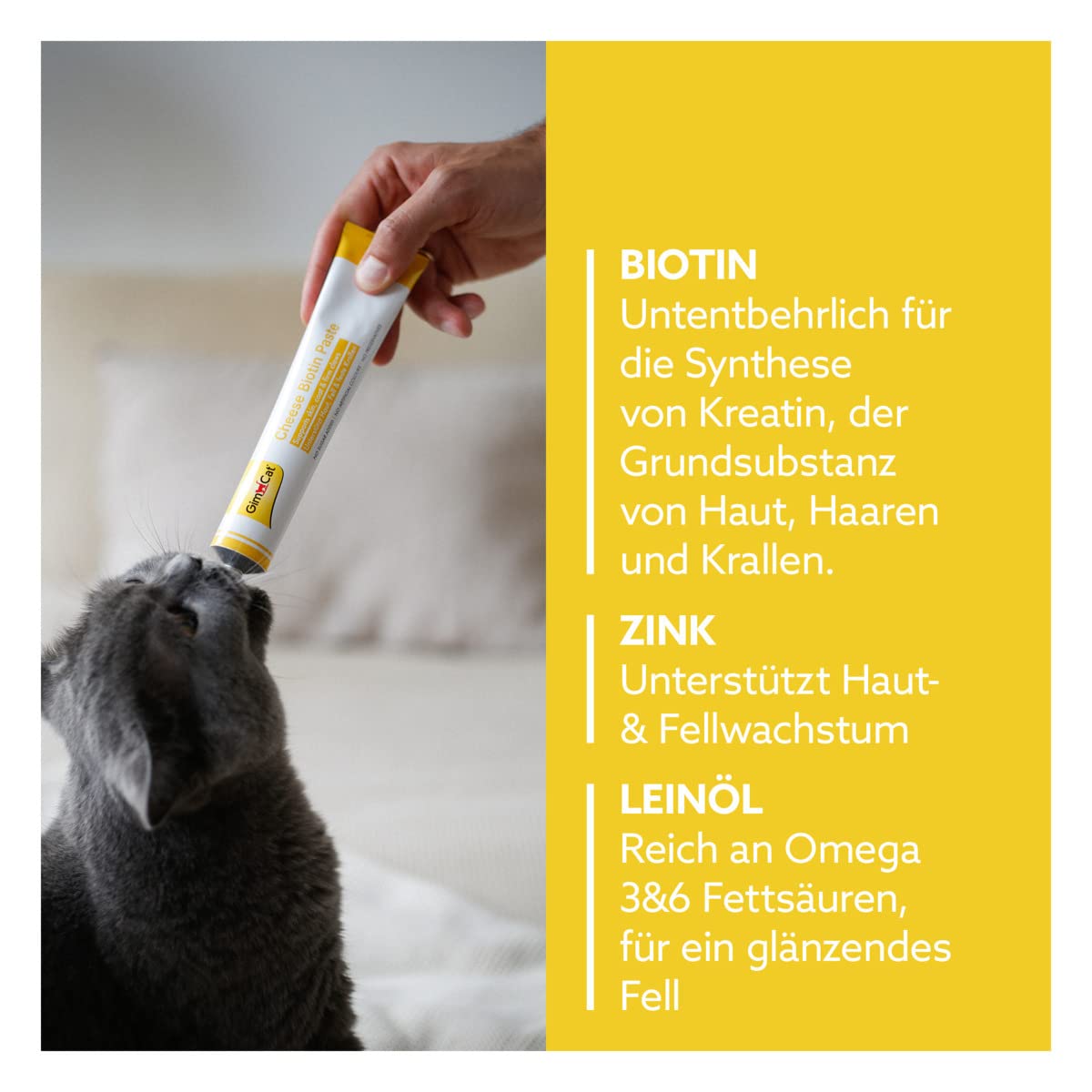 gimcat-cheese-biotin-paste-mit-hartk-se-1-tube-1-x-50-g image 3