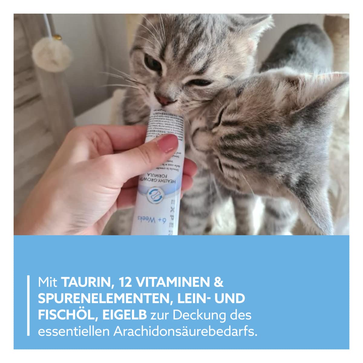 gimcat-expert-line-kitten-paste-funktionaler-katzensnack-f-r-junge-katzen-1-x-50 image 4