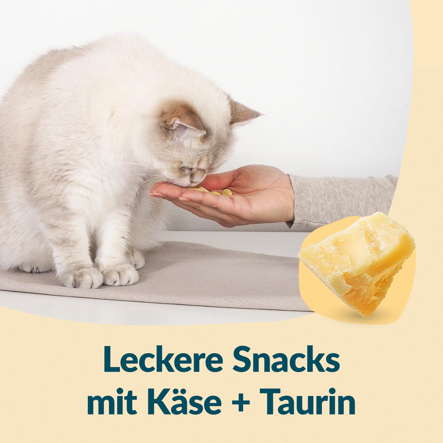 gimcat-nutri-taurine-bites-katzensnack-mit-k-se-1-x-425-g image 4
