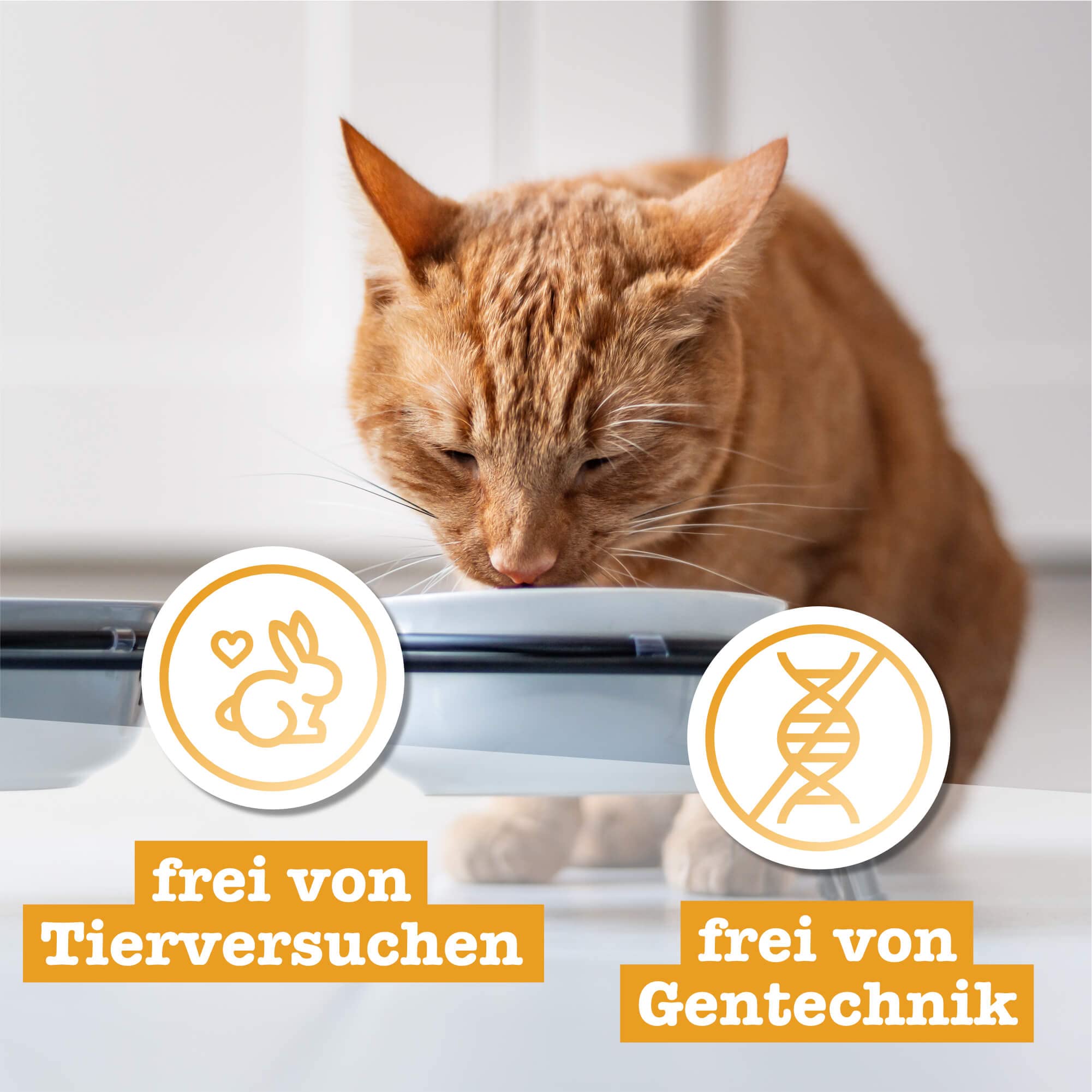 catz-finefood-purrrrly-no-107-lammherzen-gefriergetrockneter-snack-f-r-katzen-6- image 5