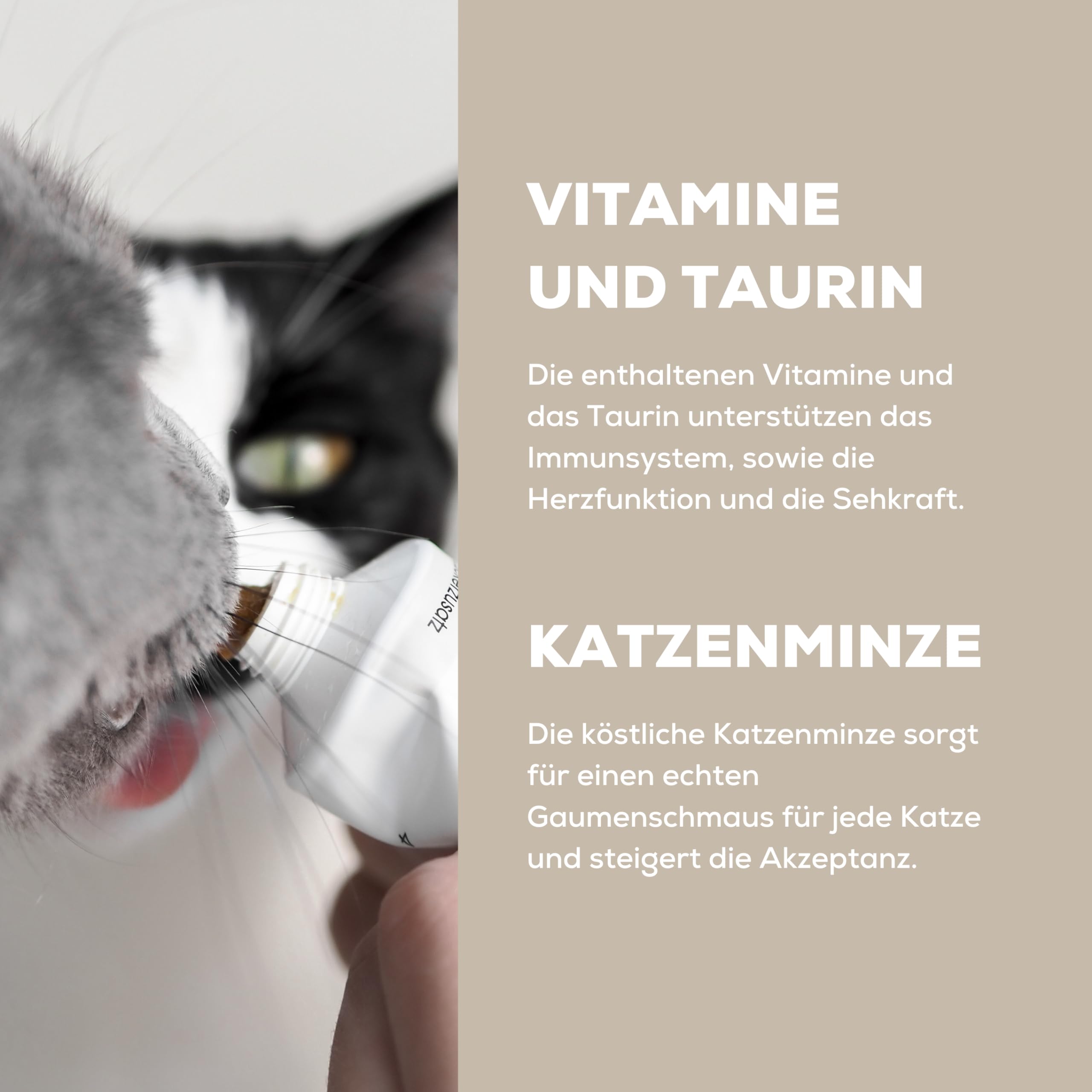 gimcat-x-minty-marla-multi-vitamin-paste-mit-katzenminze-100g-tube image 4