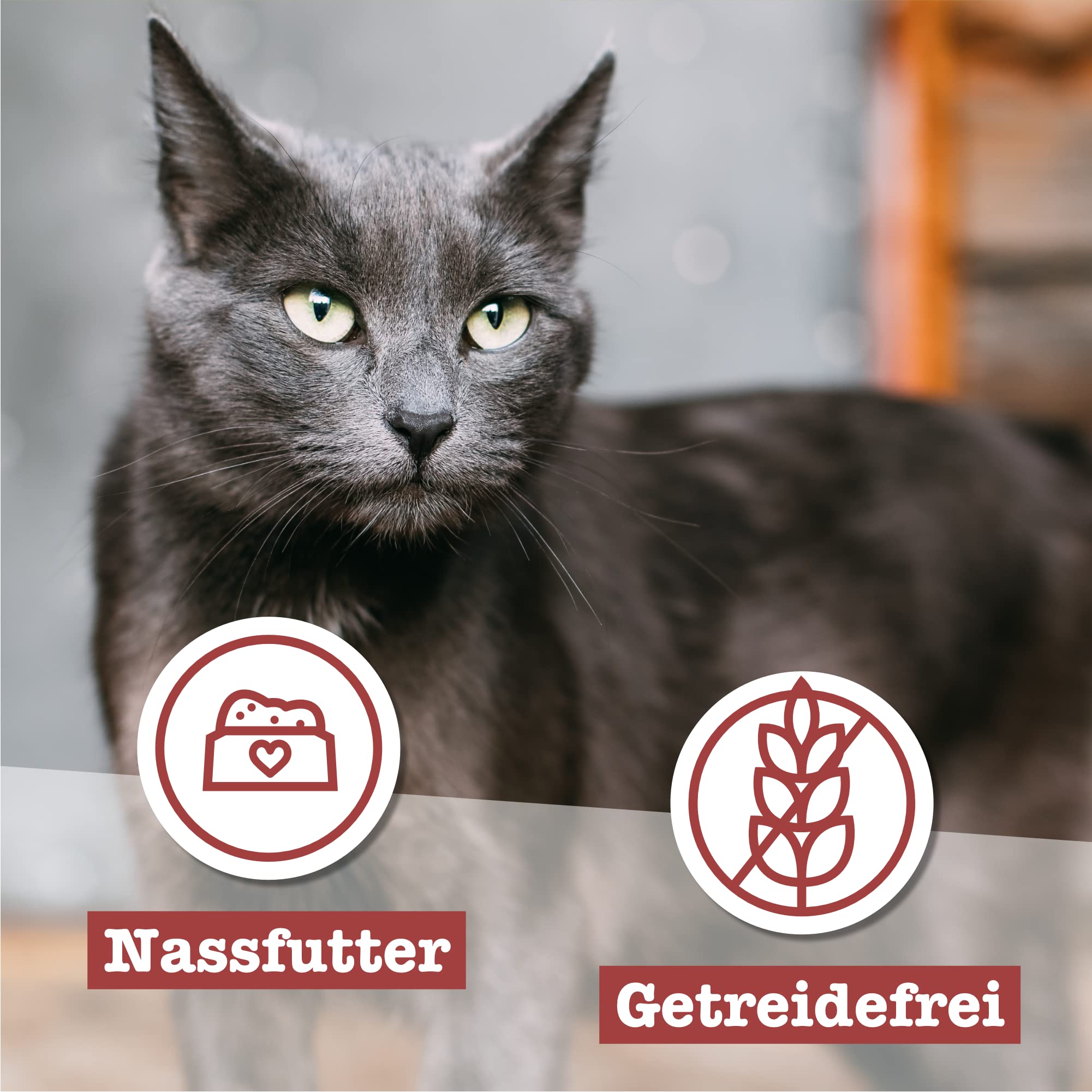 catz-finefood-classic-huhn-senior-katzenfutter-nass-f-r-ltere-katzen-16-x-85g-be image 5