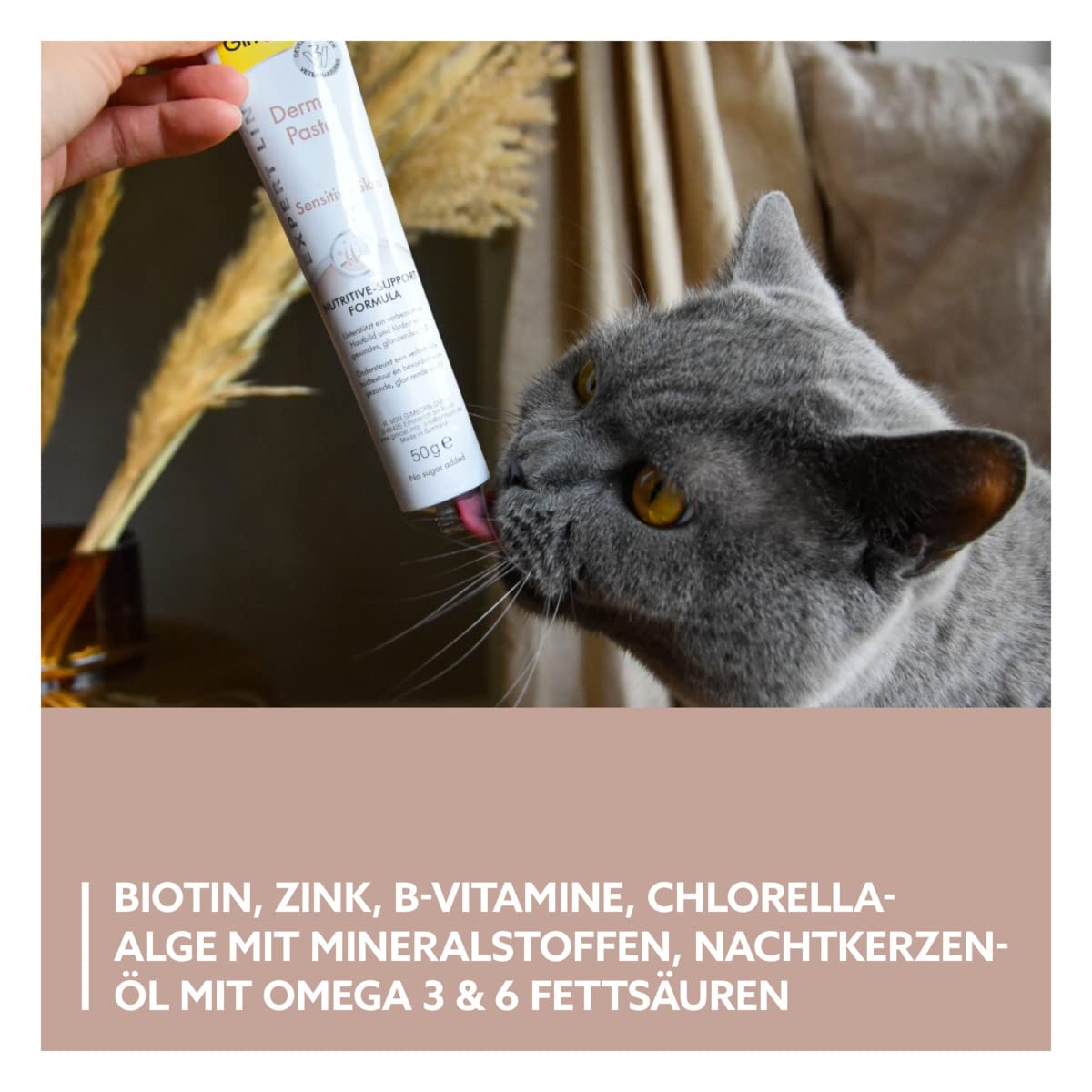gimcat-expert-line-derma-paste-katzenpaste-50-g image 4