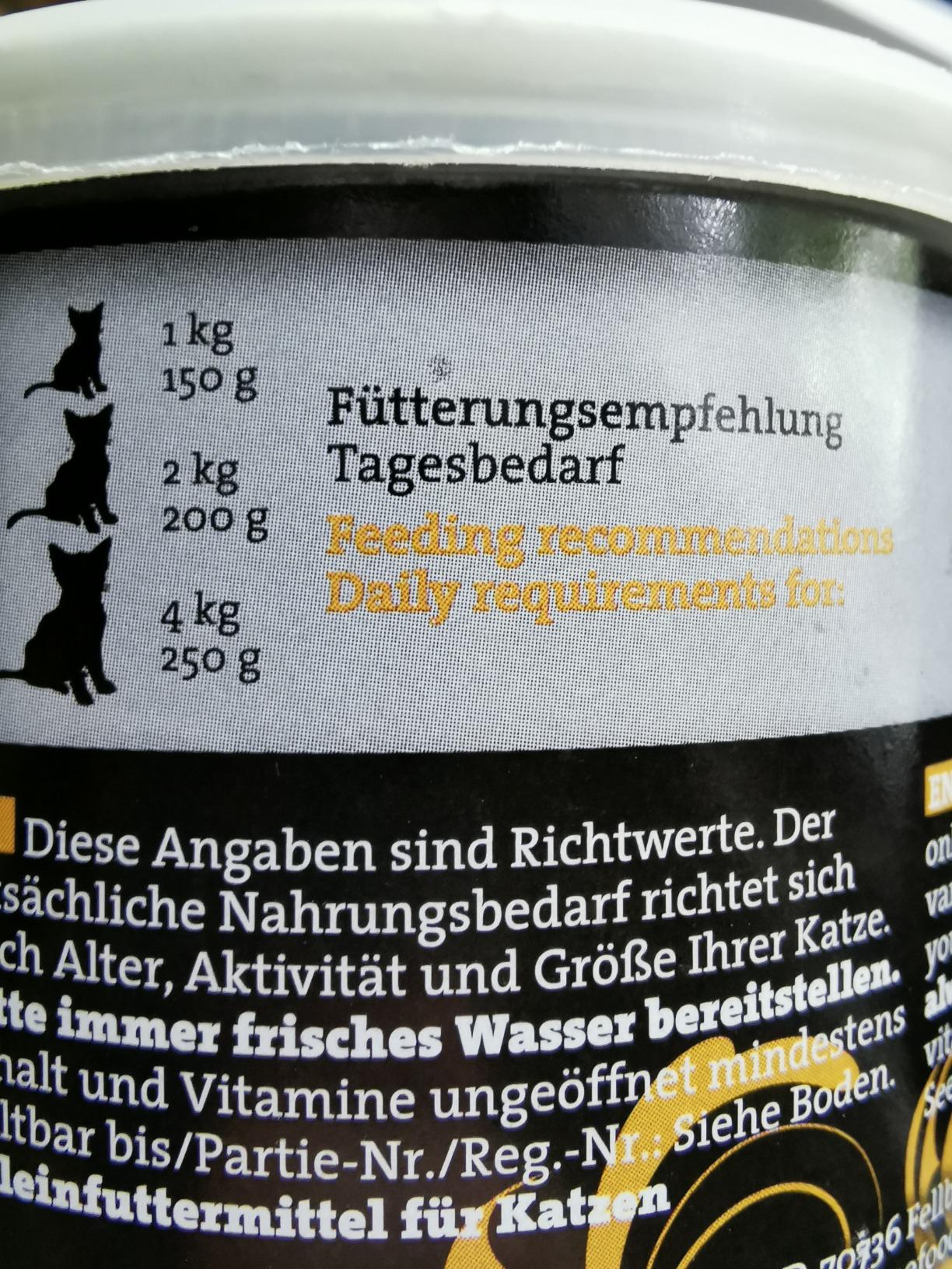 Känguru kommt super an