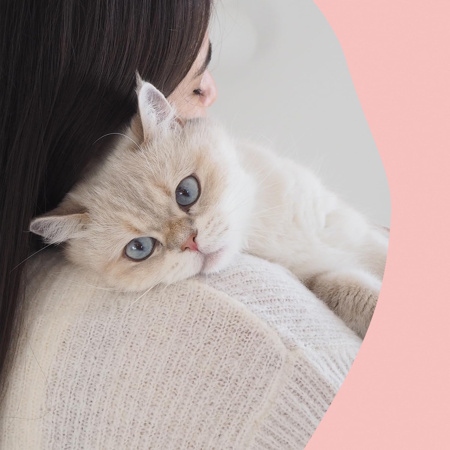 gimcat-nutri-biotin-bites-katzensnack-mit-lachs-40-g image 5
