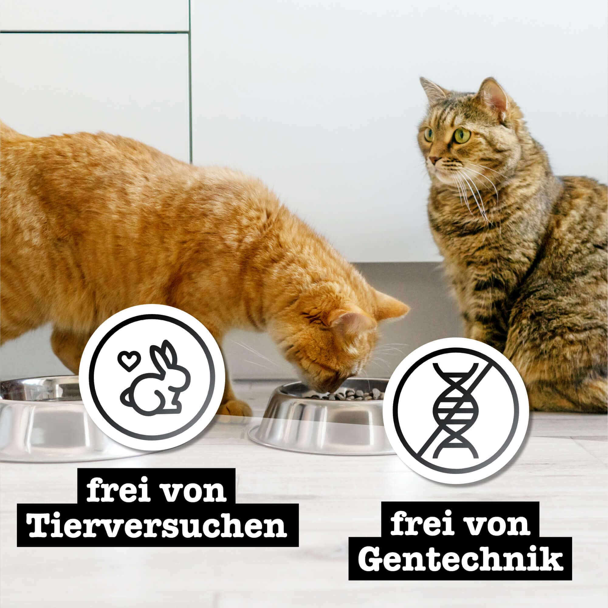 catz-finefood-purrrr-n-117-pute-monoprotein-nassfutter-f-r-katzen-16-x-85g-beute image 6