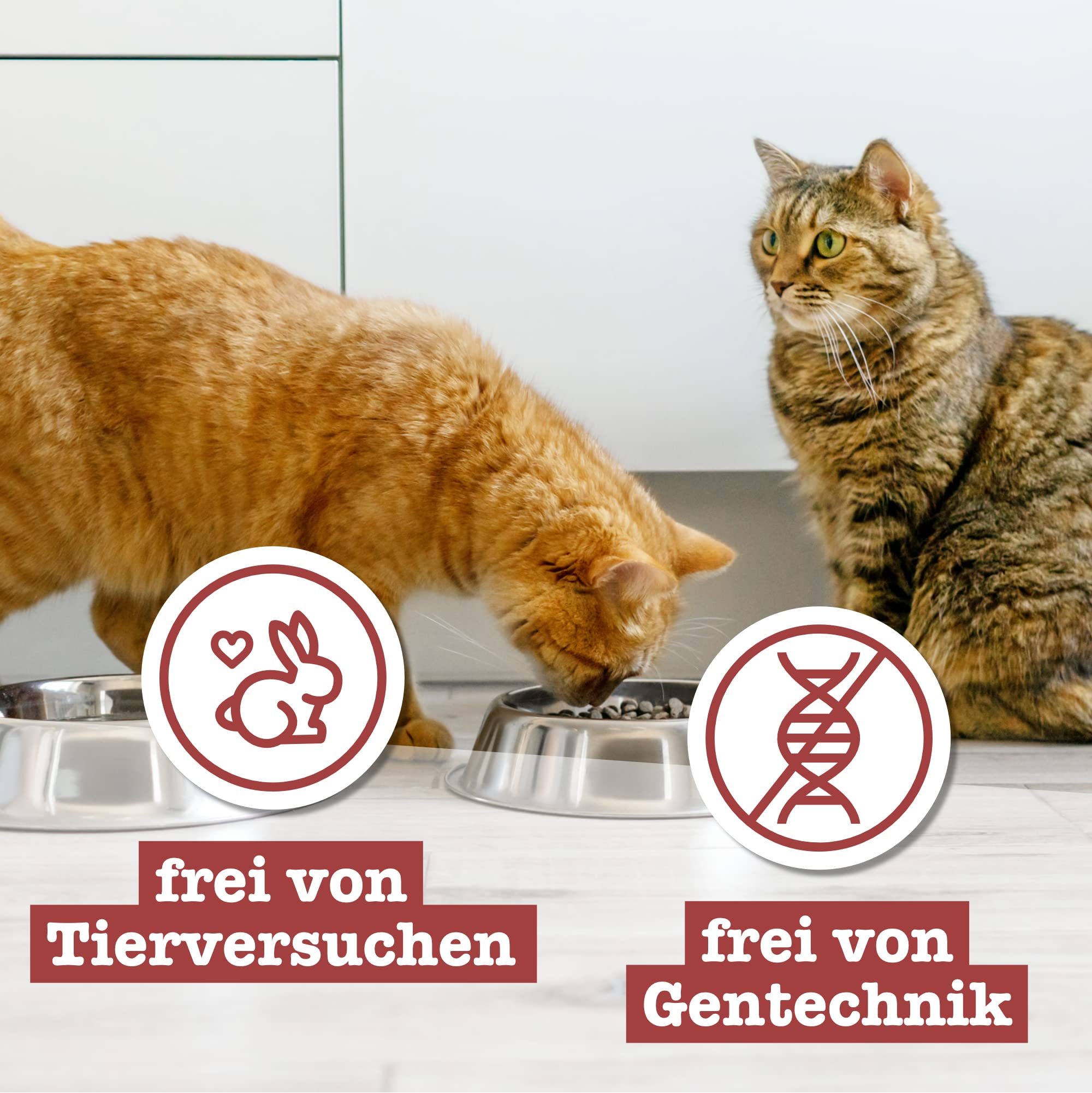 catz-finefood-classic-huhn-senior-katzenfutter-nass-f-r-ltere-katzen-16-x-85g-be image 6