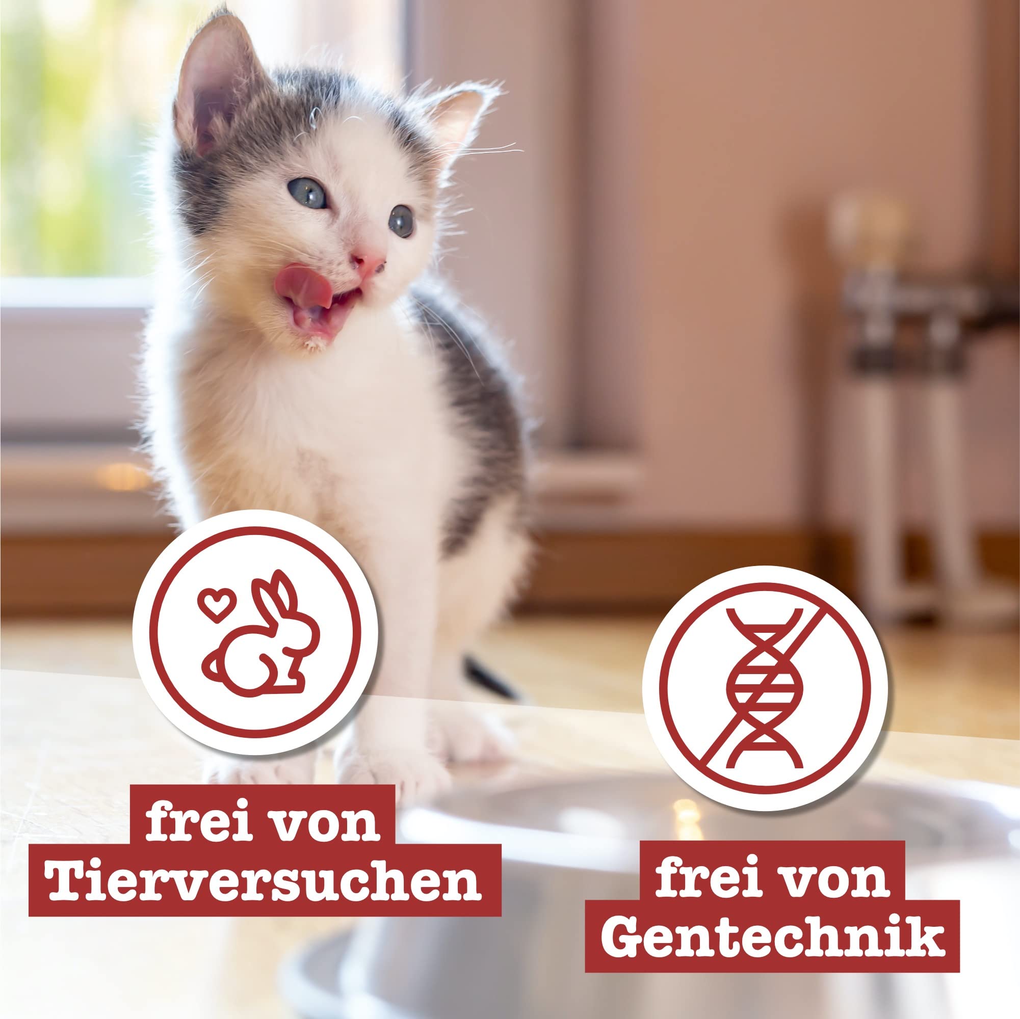 catz-finefood-kitten-n-3-gefl-gel-nassfutter-f-r-junge-katzen-6-x-300g-beutel image 6