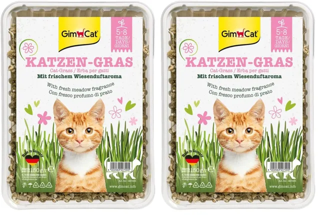 gimcat-katzengras-schale-150-g-schnell-wachsend-in-5-8-tagen-2er-pack image 1