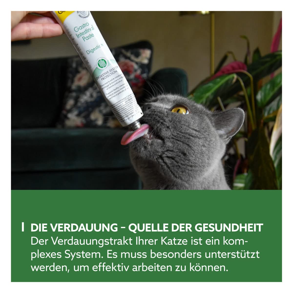 gimcat-expert-line-gastro-intestinal-paste-50-g-tube image 3