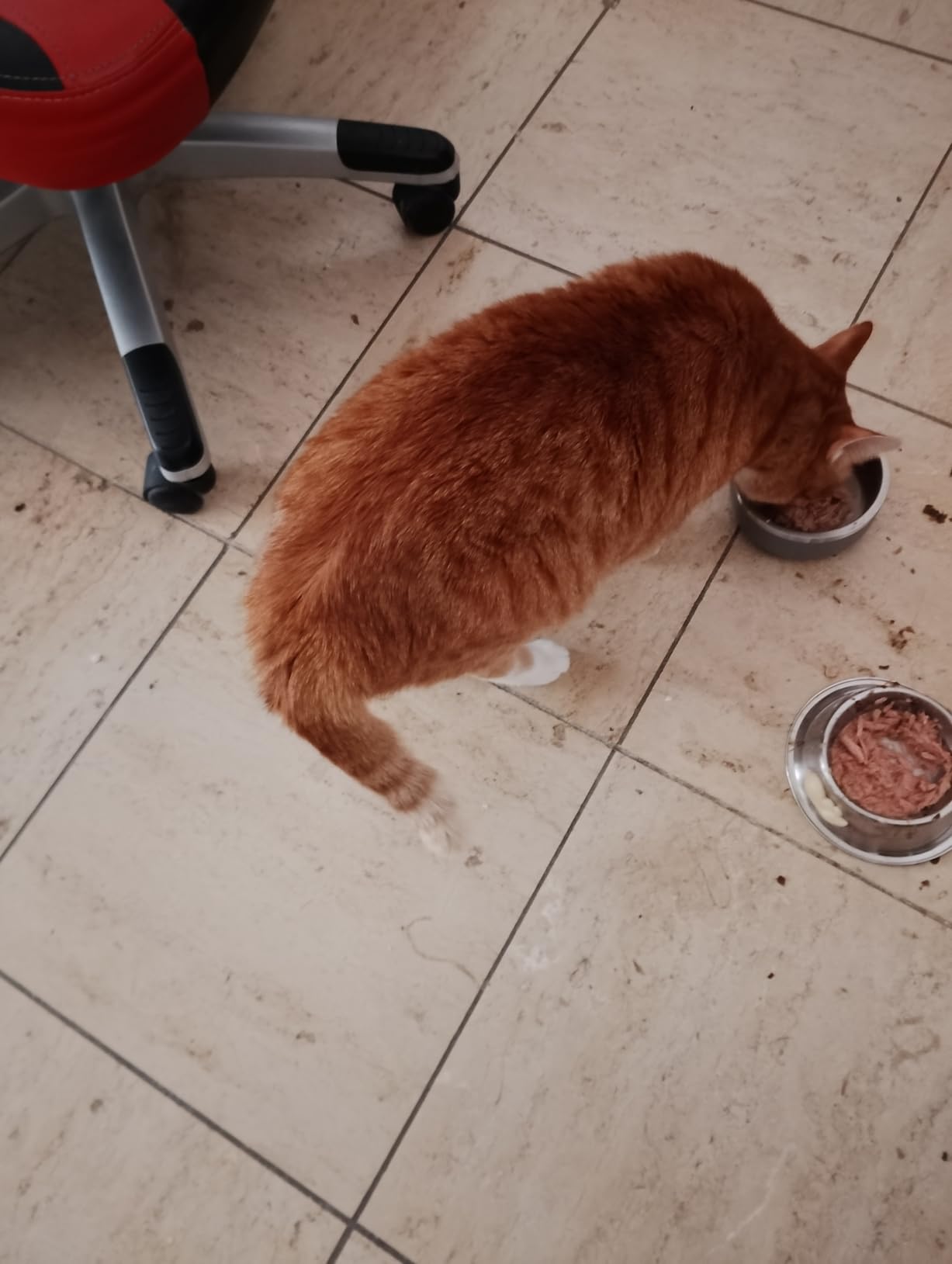 Filet in Brühe kommt super an