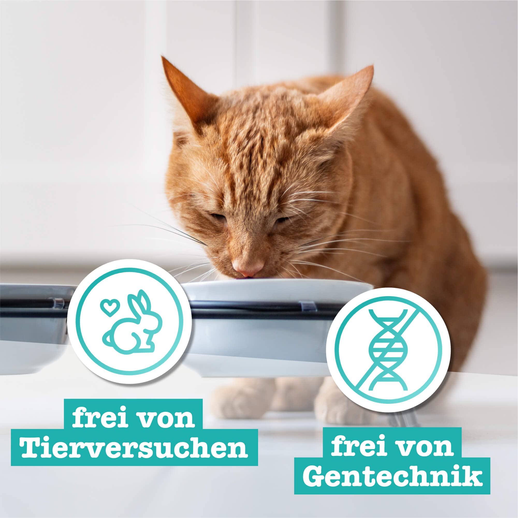 catz-finefood-n-21-wild-rotbarsch-nassfutter-f-r-katzen-6-x-400-g image 6