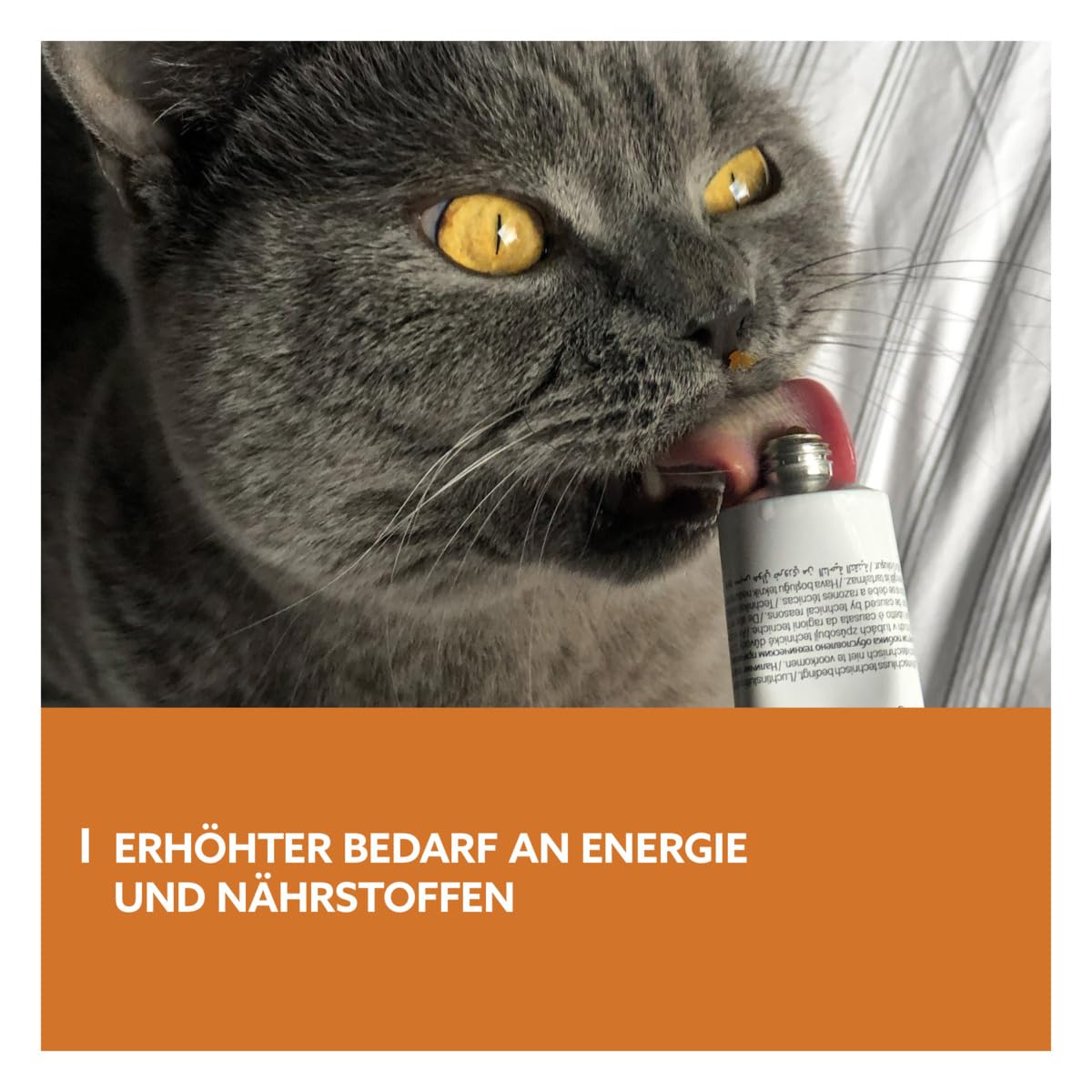 gimcat-expert-line-energy-paste-katzenpaste-50-g image 3