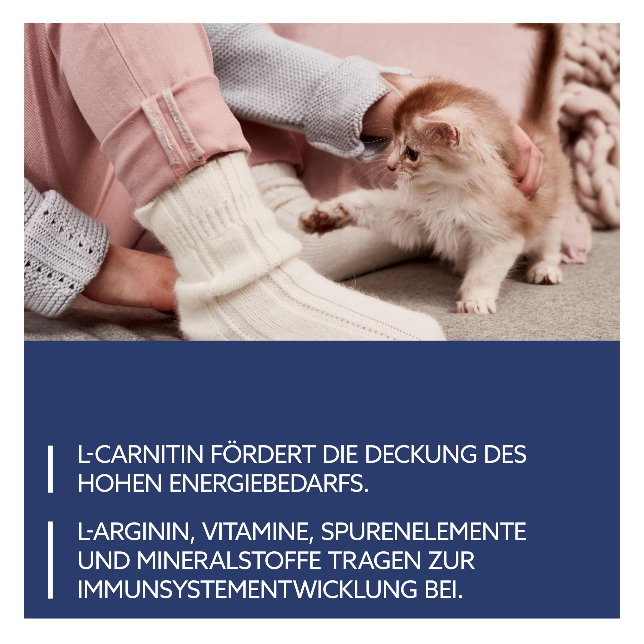 gimcat-kitten-goat-milk-ziegenmilch-aufzuchtmilch-f-r-katzenbabys-200-g-beutel image 5