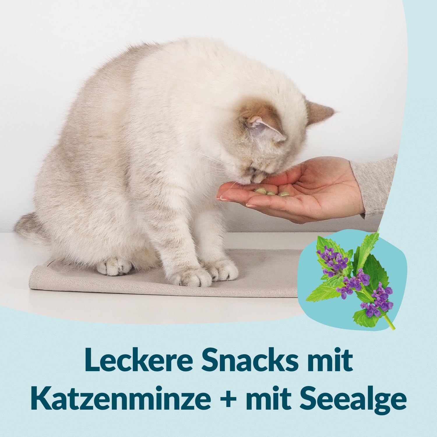 gimcat-nutri-dental-bites-katzensnack-mit-katzenminze-1-x-40g-beutel image 4