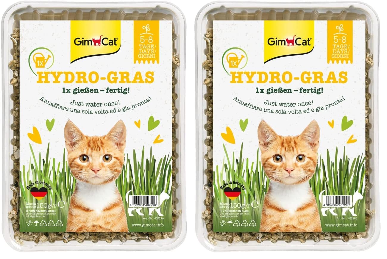 gimcat-hydro-gras-katzengras-1-schale-150-g image 1
