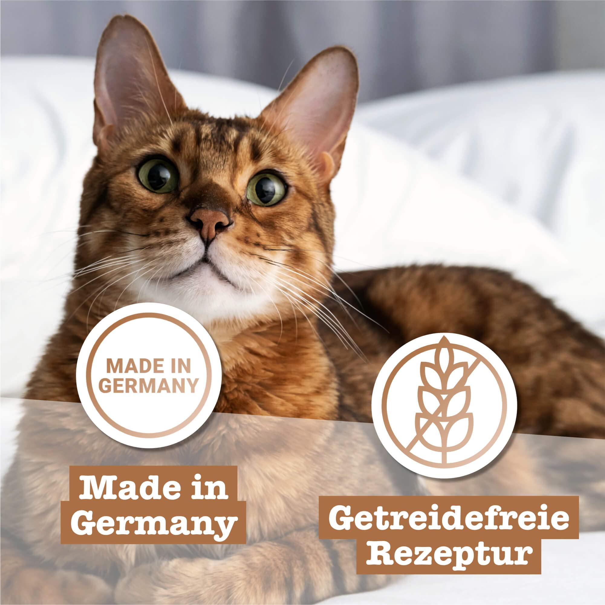 catz-finefood-classic-n-9-wild-nassfutter-f-r-katzen-6-x-300-g-beutel image 5