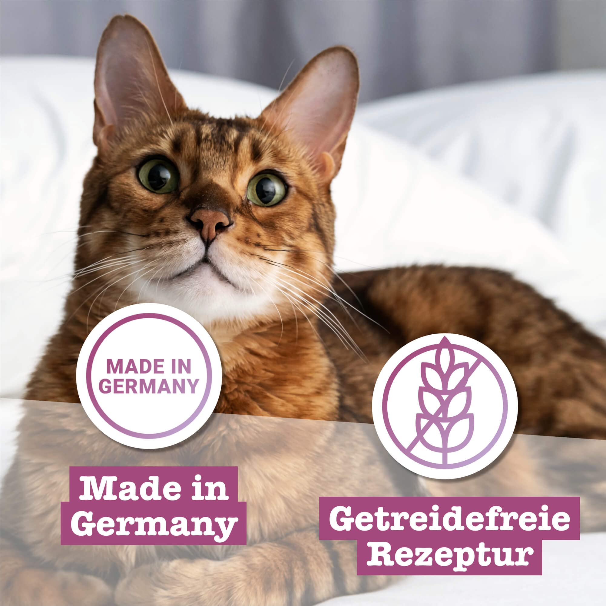 catz-finefood-multipack-1-nassfutter-mix-paket-12-x-85-g-beutel image 4
