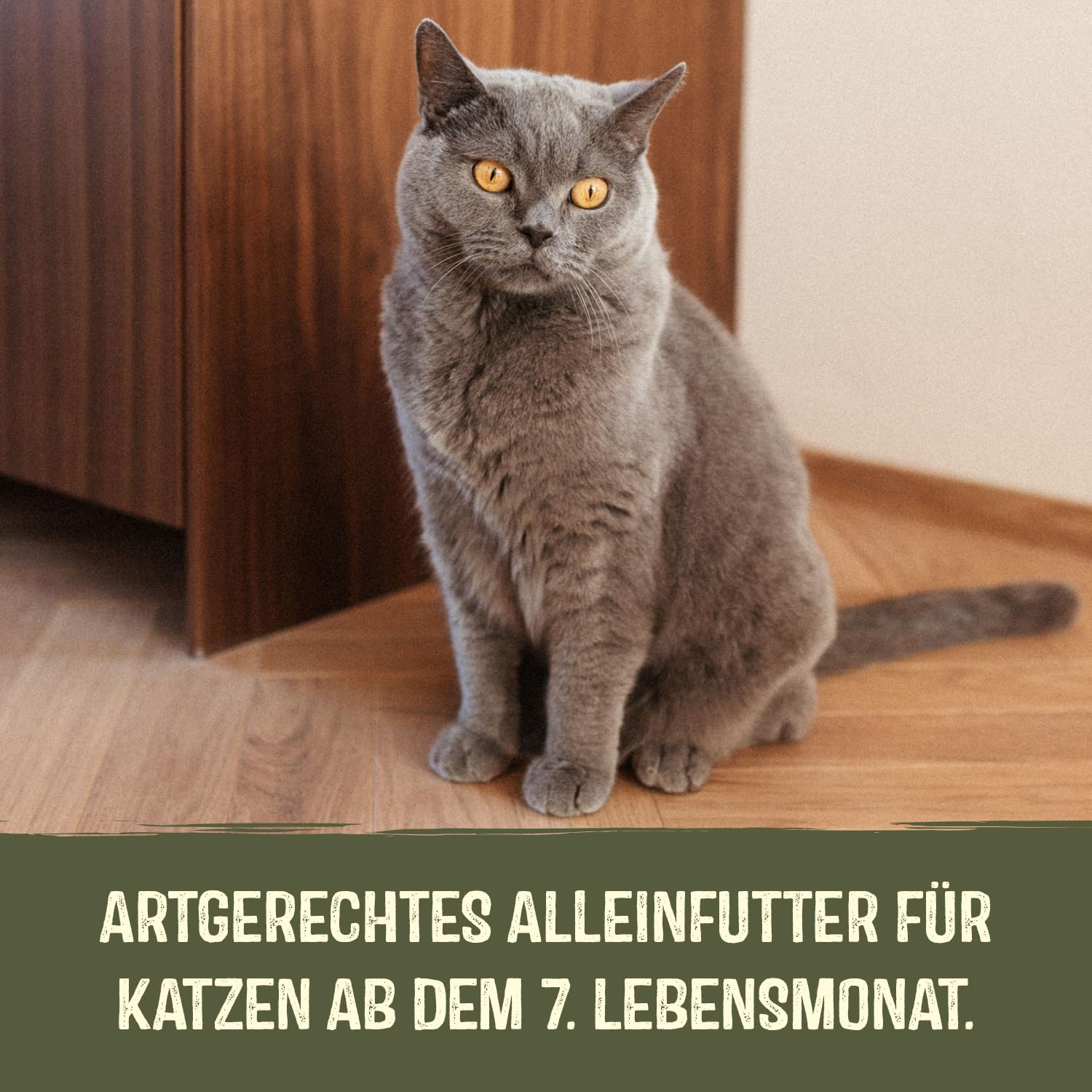 gimcat-near-nature-huhn-nassfutter-f-r-katzen-16-x-85-g image 7
