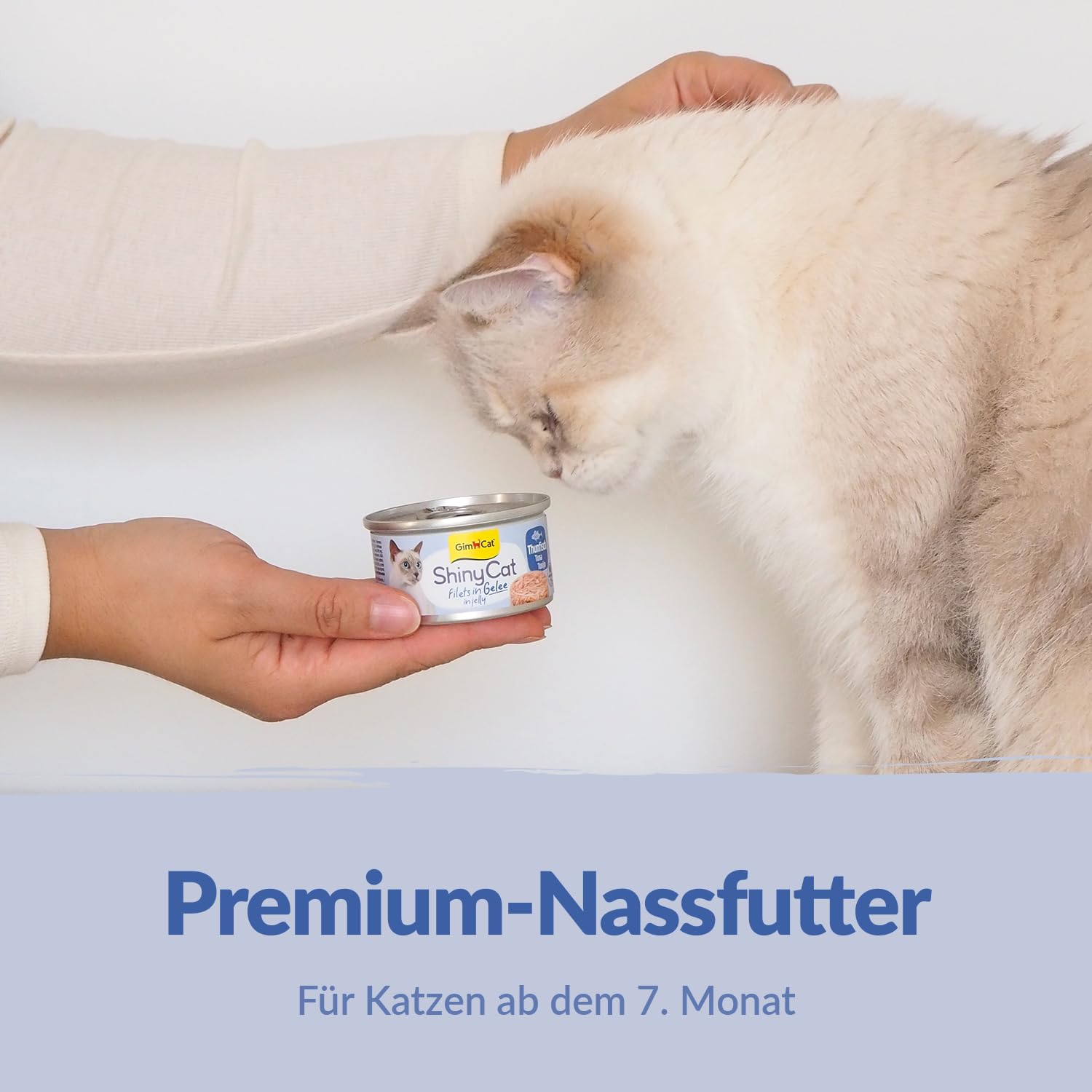 gimcat-shinycat-filet-in-br-he-h-hnchen-mit-garnelen-24-x-70-g-dosen image 8