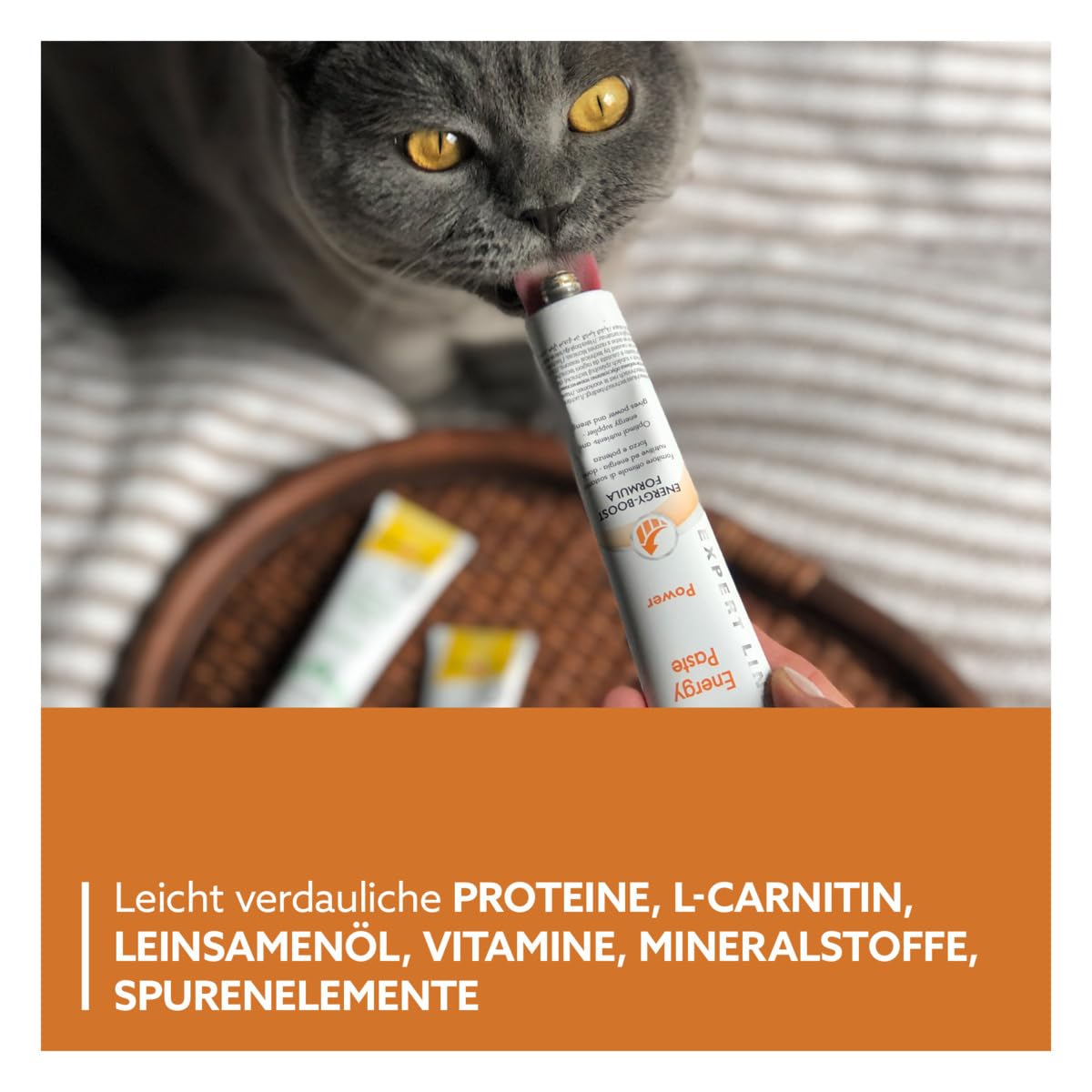 gimcat-expert-line-energy-paste-katzenpaste-50-g image 4