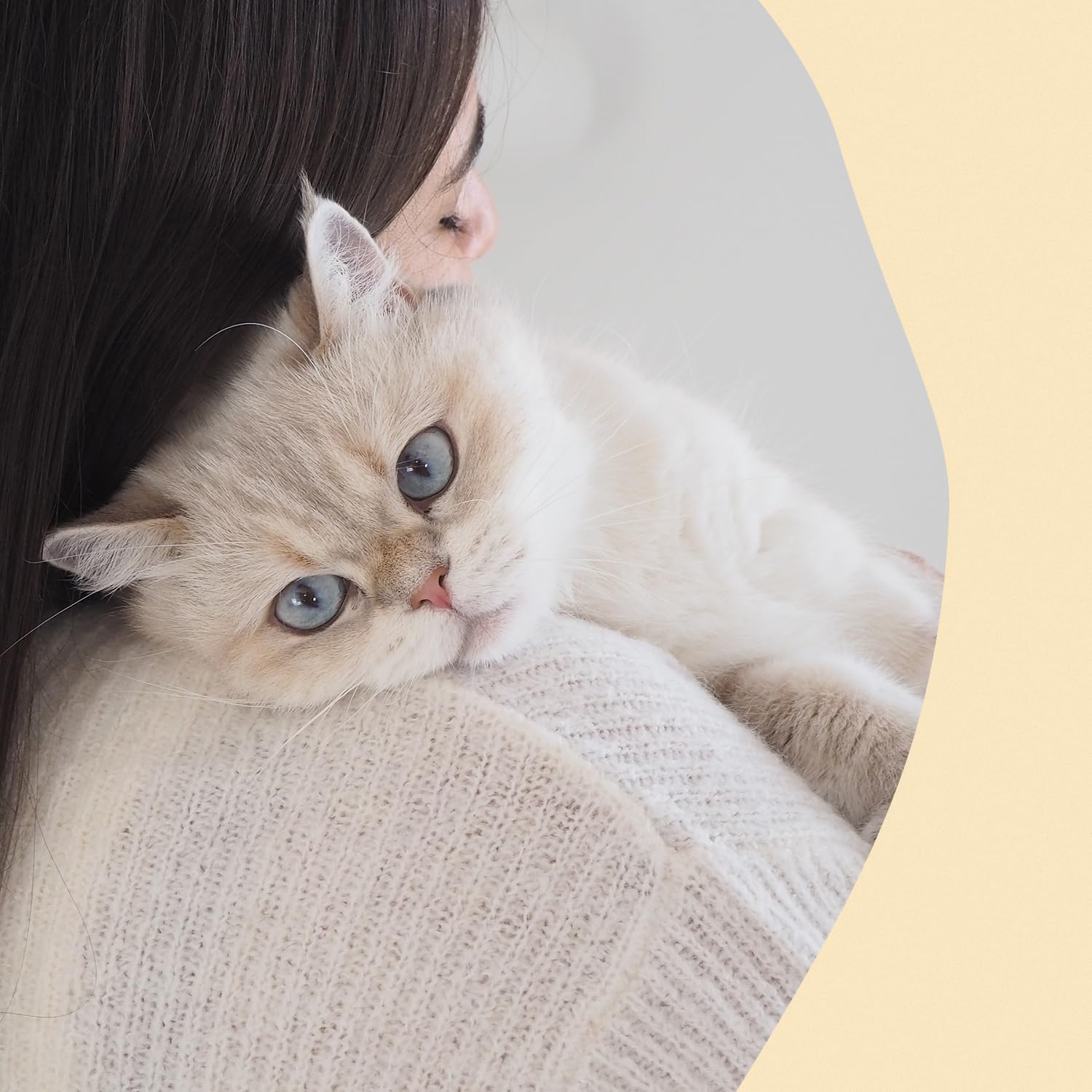gimcat-nutri-taurine-bites-katzensnack-mit-k-se-1-x-425-g image 5