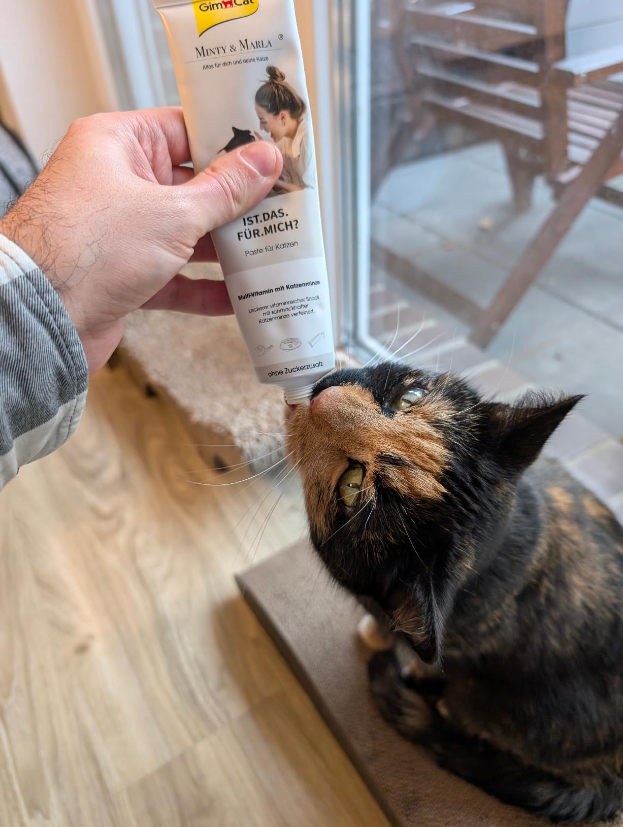Leider zu minzig für meinen Kater