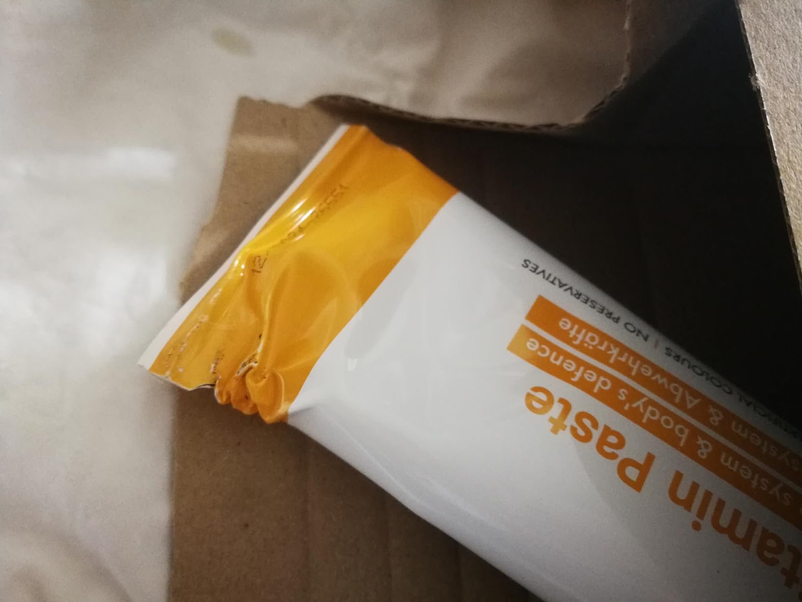Wählerische Katze überzeugt